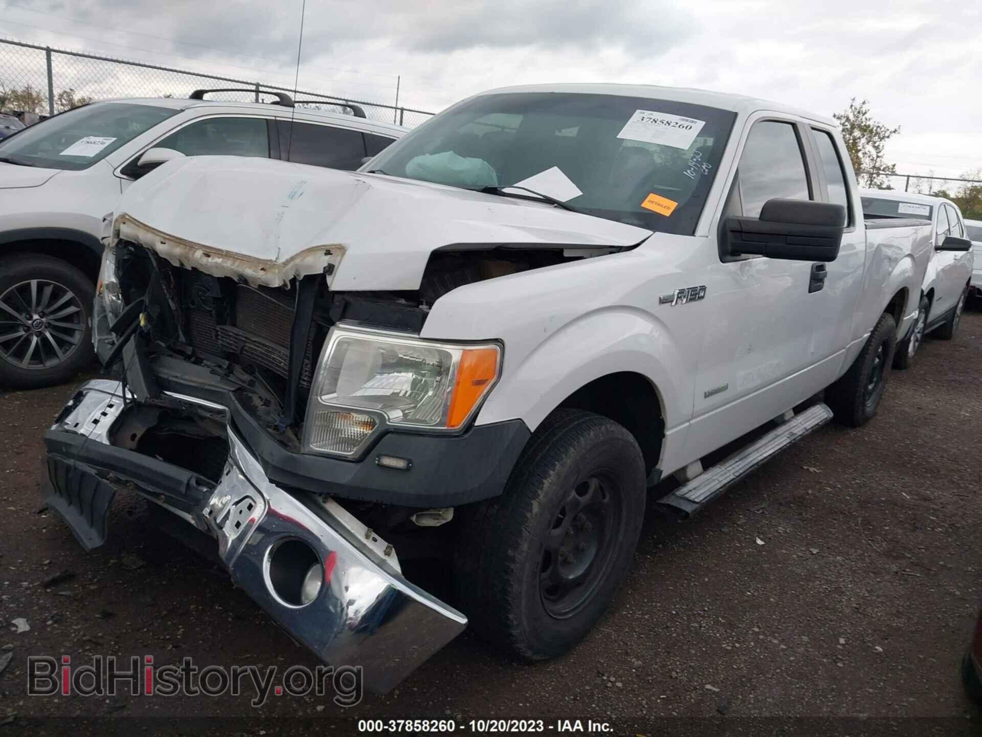 2013 FORD F-150 - VIN: 1FTFX1CT7DKD66419 - Фото 2
