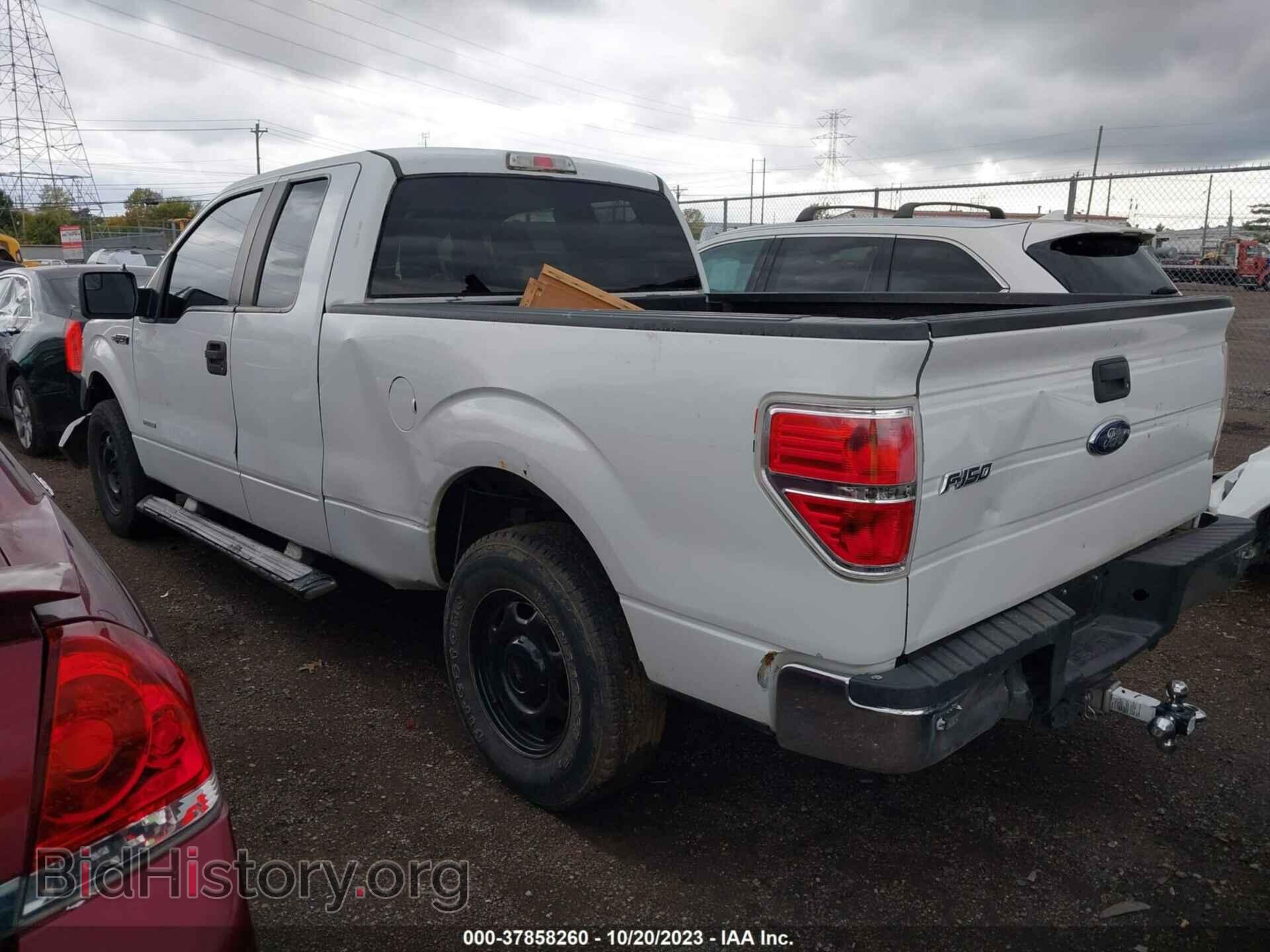 2013 FORD F-150 - VIN: 1FTFX1CT7DKD66419 - Фото 3