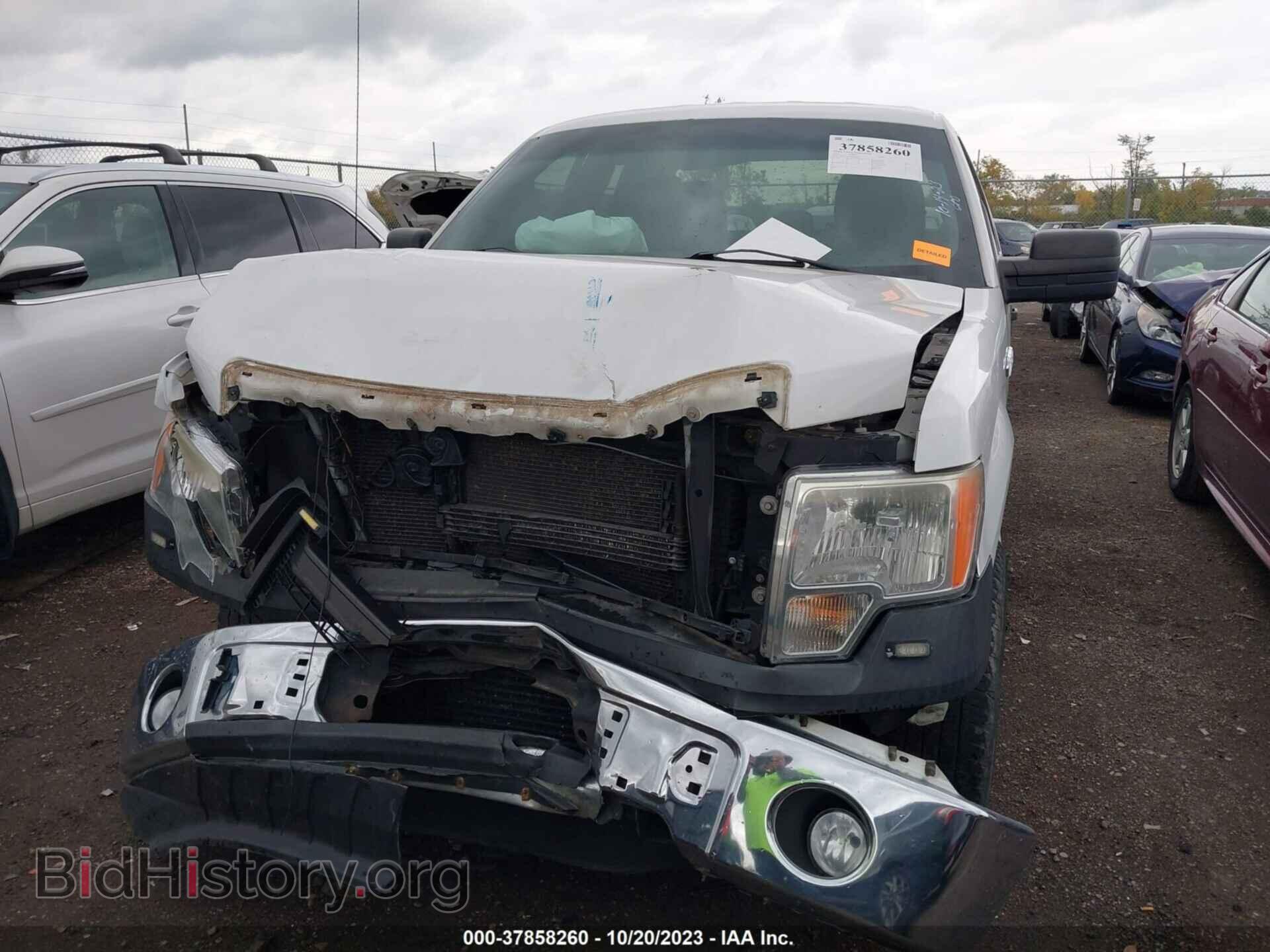 2013 FORD F-150 - VIN: 1FTFX1CT7DKD66419 - Фото 6