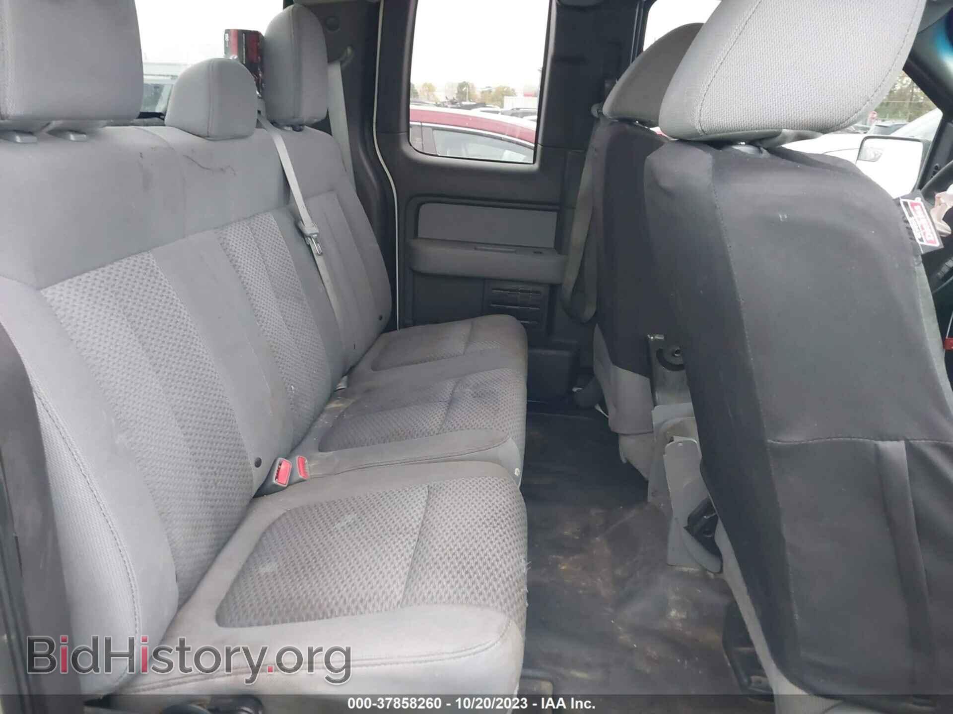 2013 FORD F-150 - VIN: 1FTFX1CT7DKD66419 - Фото 8
