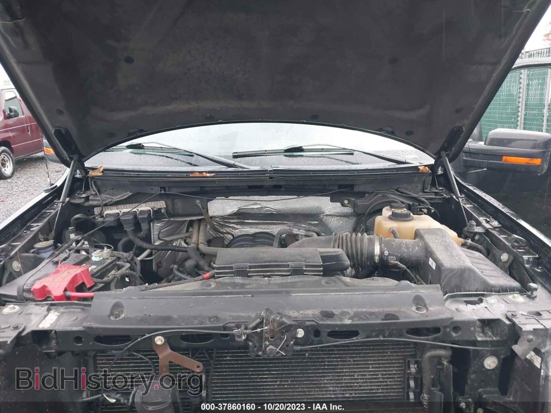 2013 FORD F-150 - VIN: 1FTFW1EF6DKE43601 - Фото 10