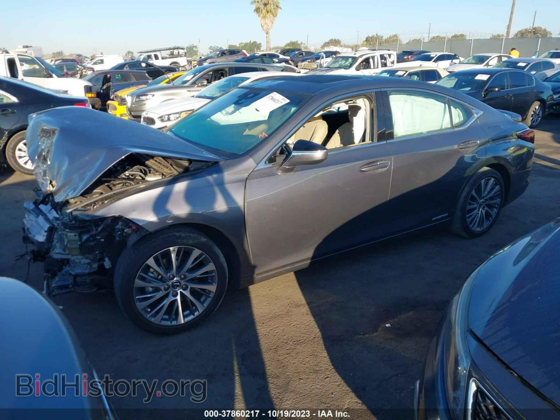 2021 LEXUS ES - VIN: 58ADA1C13MU007164 - Фото 2