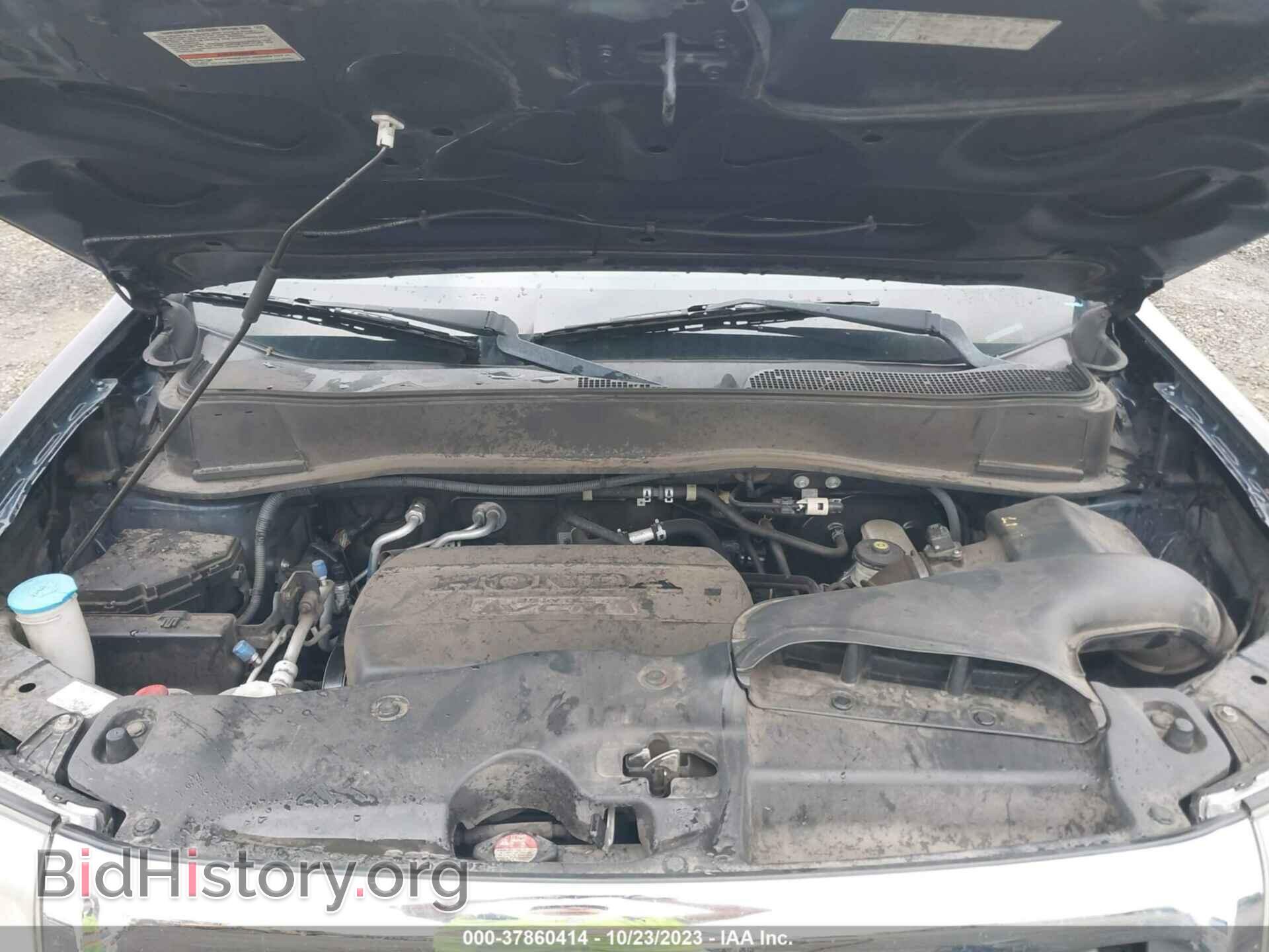 2009 HONDA PILOT - VIN: 5FNYF48679B040236 - Фото 10