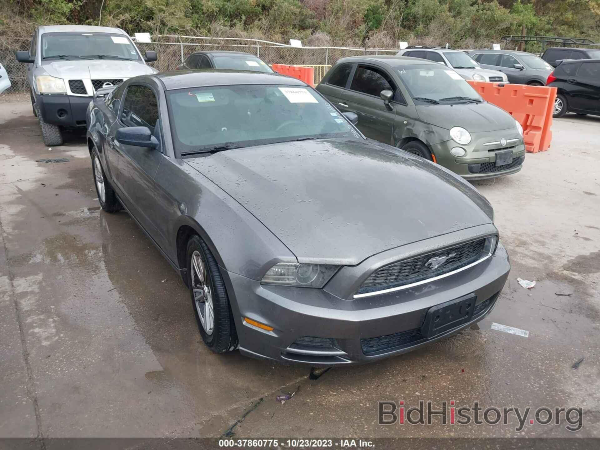 Photo 1ZVBP8AM1E5263190 - FORD MUSTANG 2014
