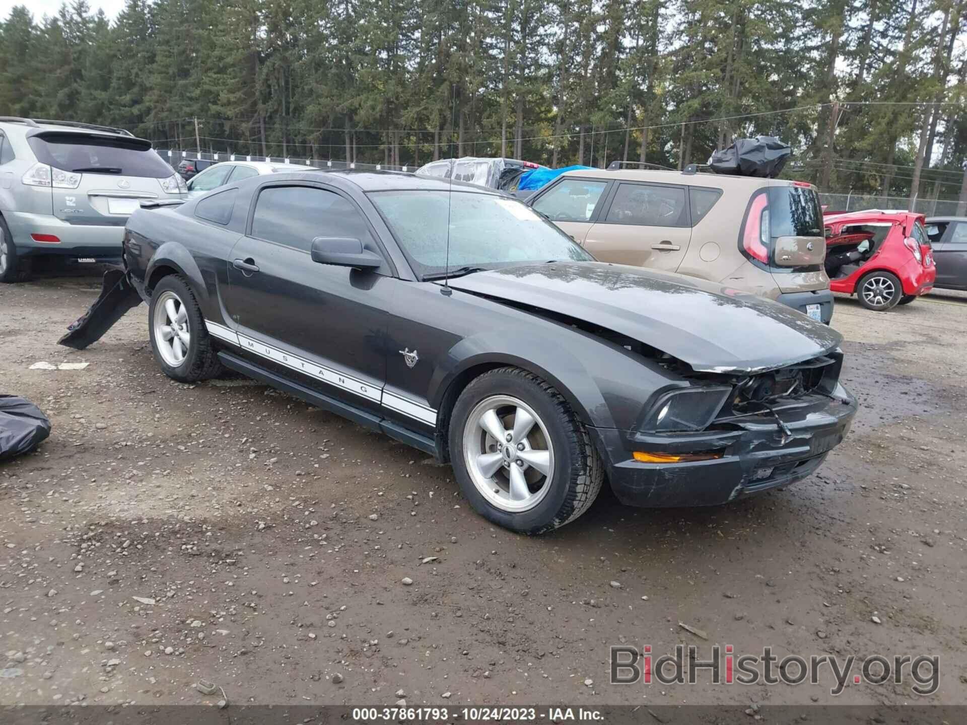 Photo 1ZVHT80N295134462 - FORD MUSTANG 2009
