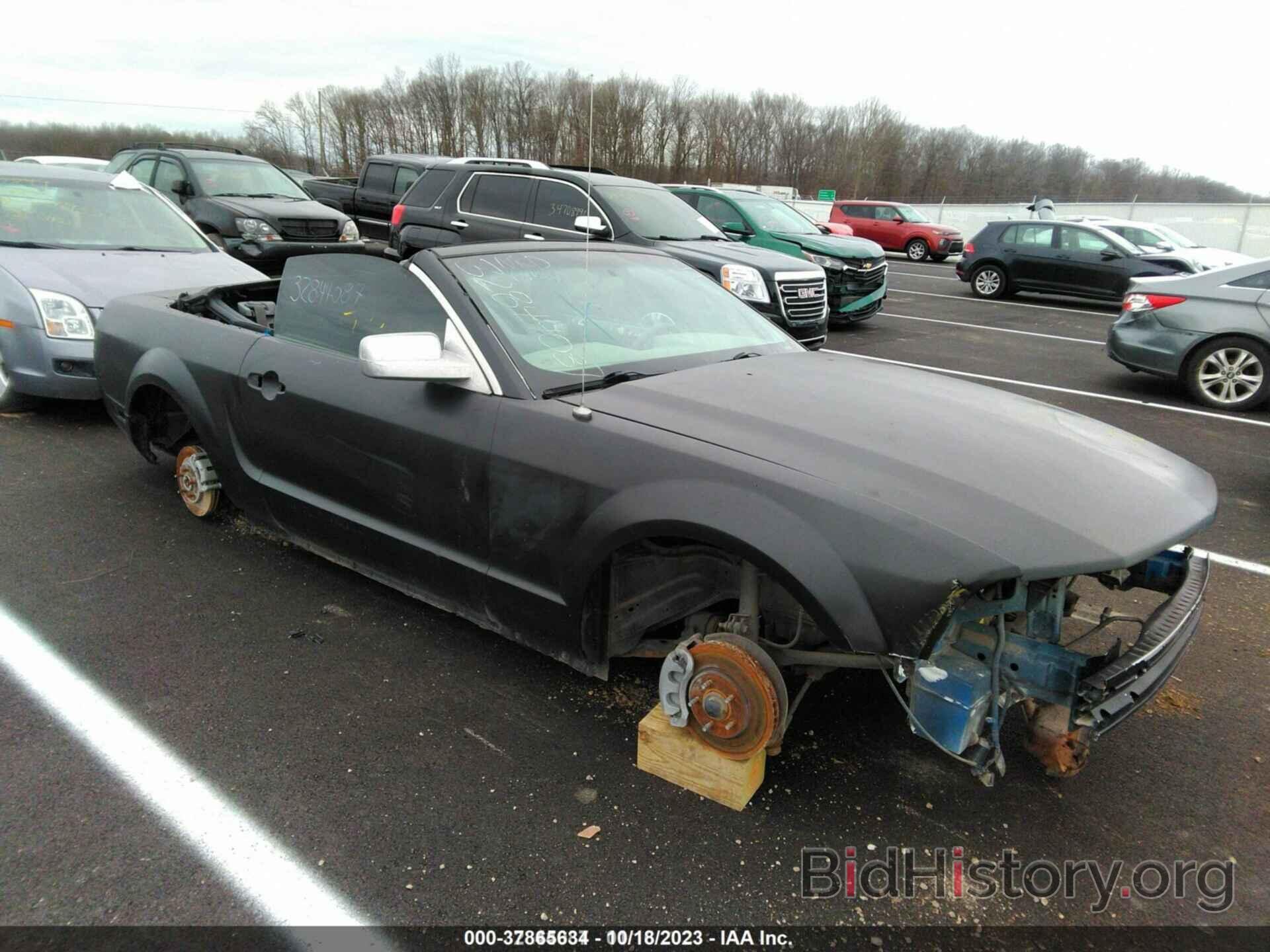 Photo 1ZVHT84N895102724 - FORD MUSTANG 2009