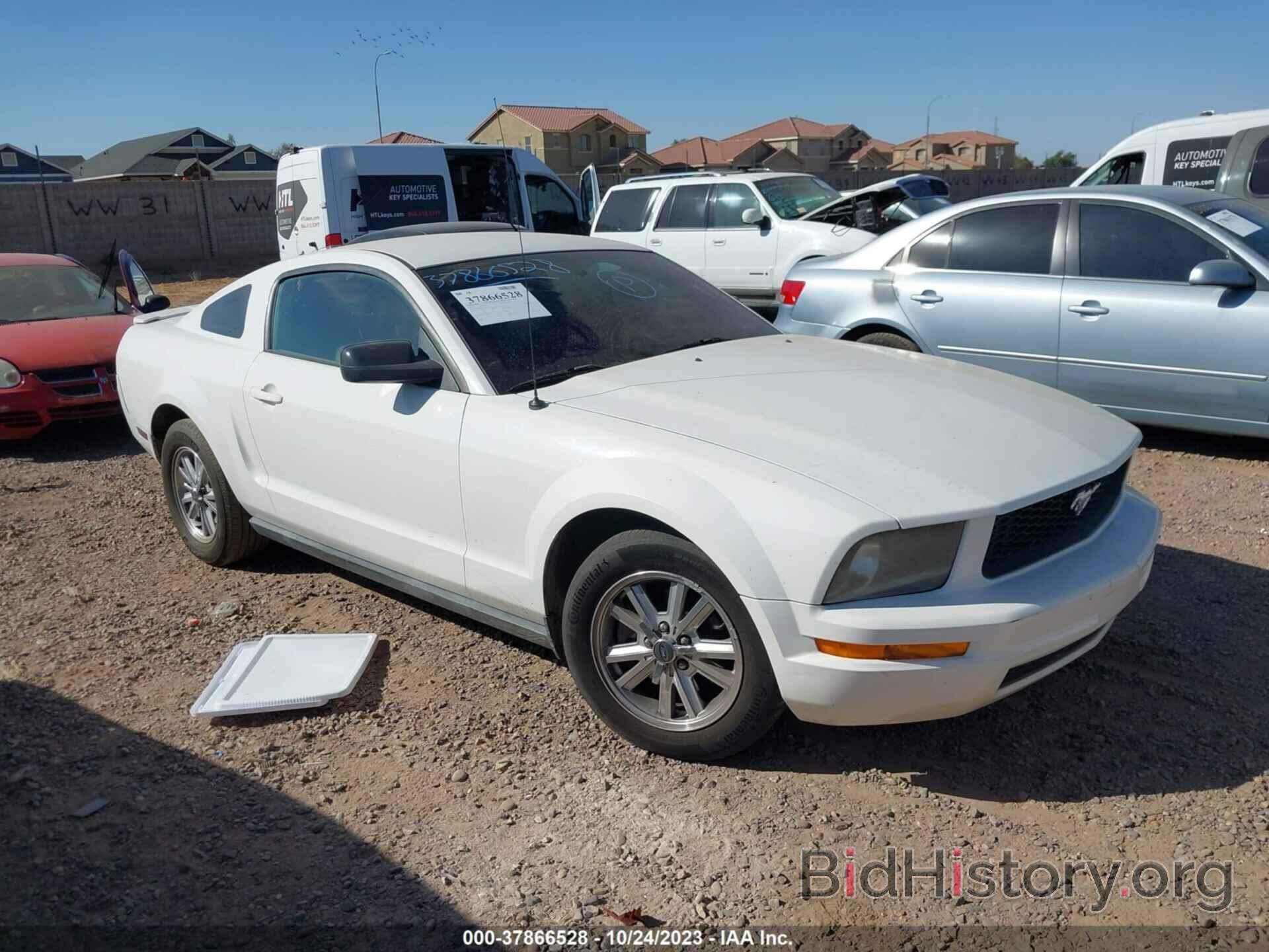 Photo 1ZVHT80N275289736 - FORD MUSTANG 2007