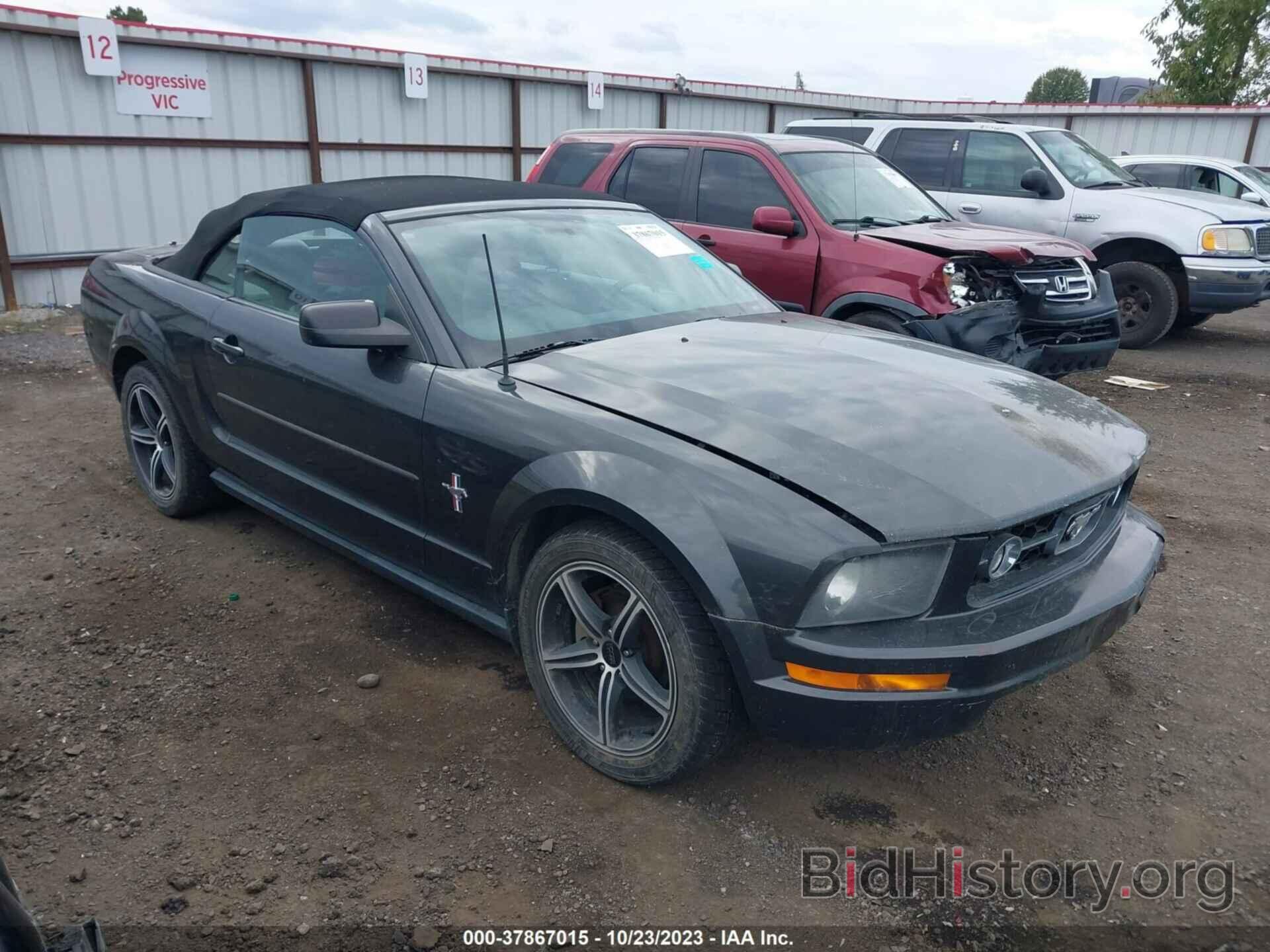 Photo 1ZVFT84N675252240 - FORD MUSTANG 2007