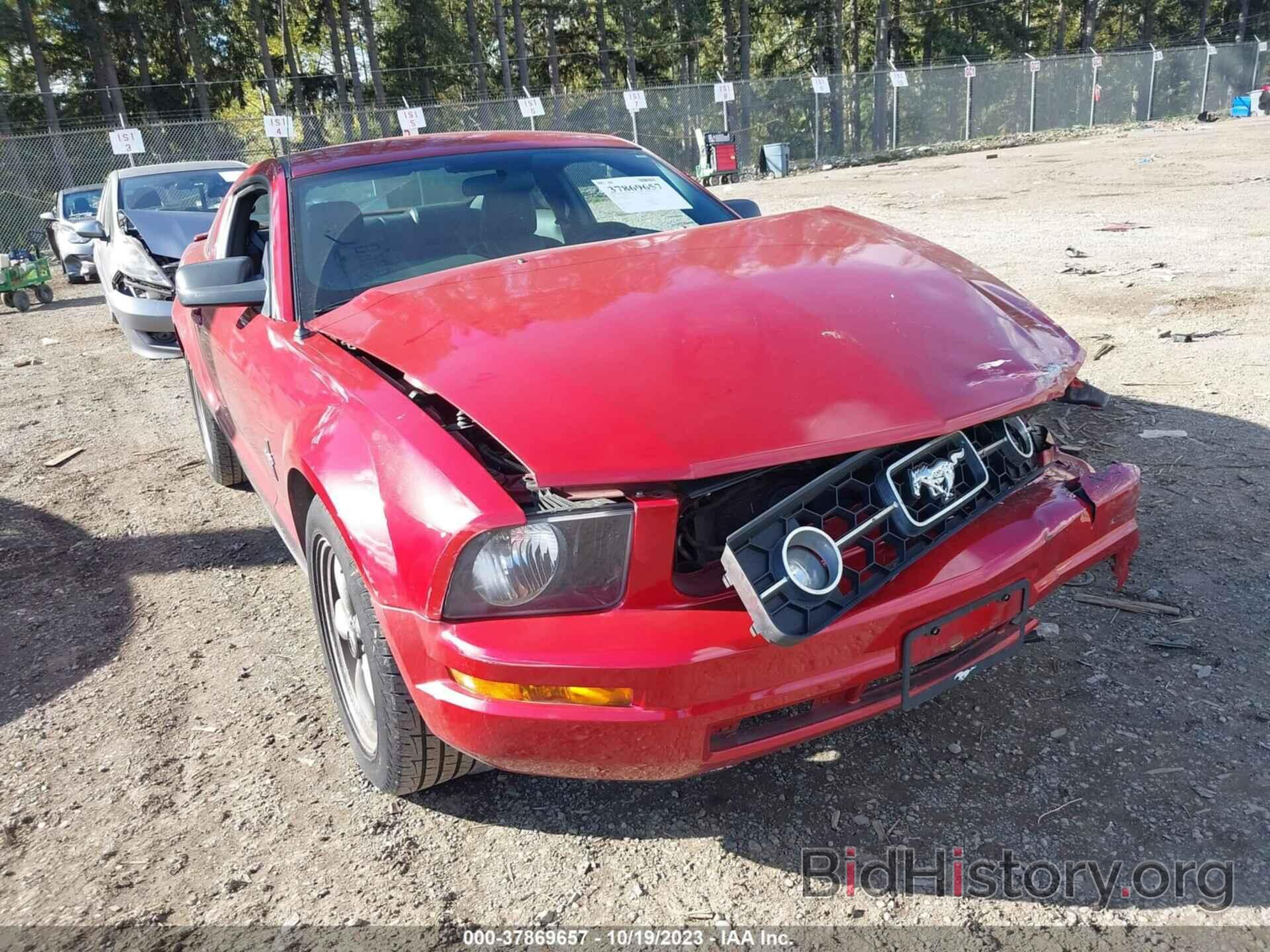 Photo 1ZVHT80NX85164971 - FORD MUSTANG 2008