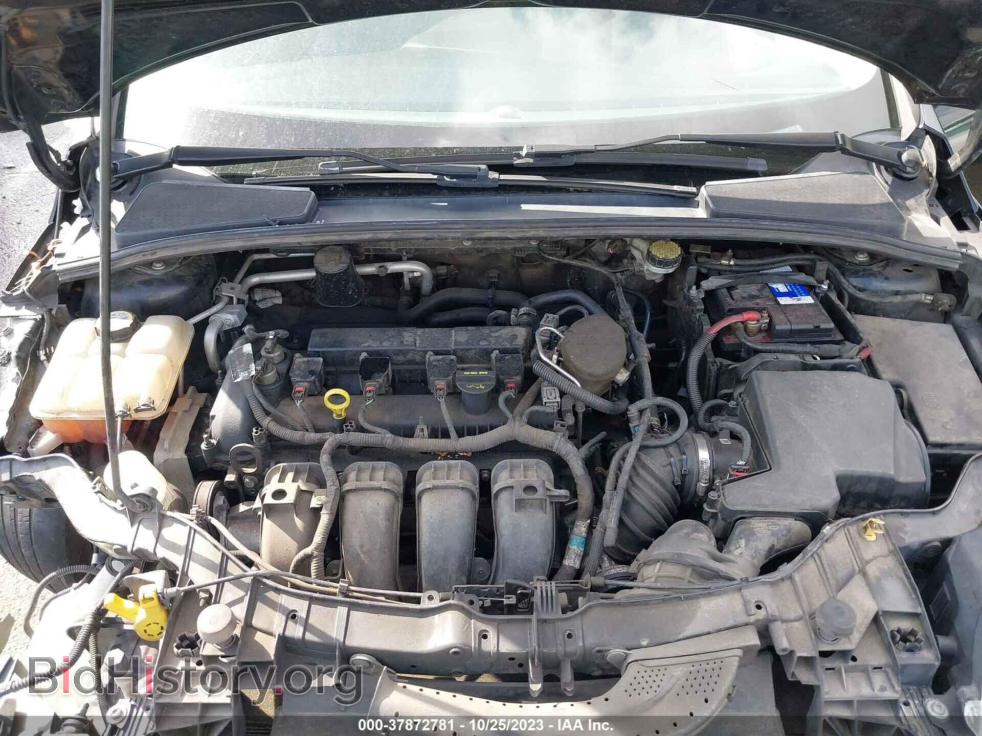 2013 FORD FOCUS - VIN: 1FADP3E23DL204729 - Фото 10