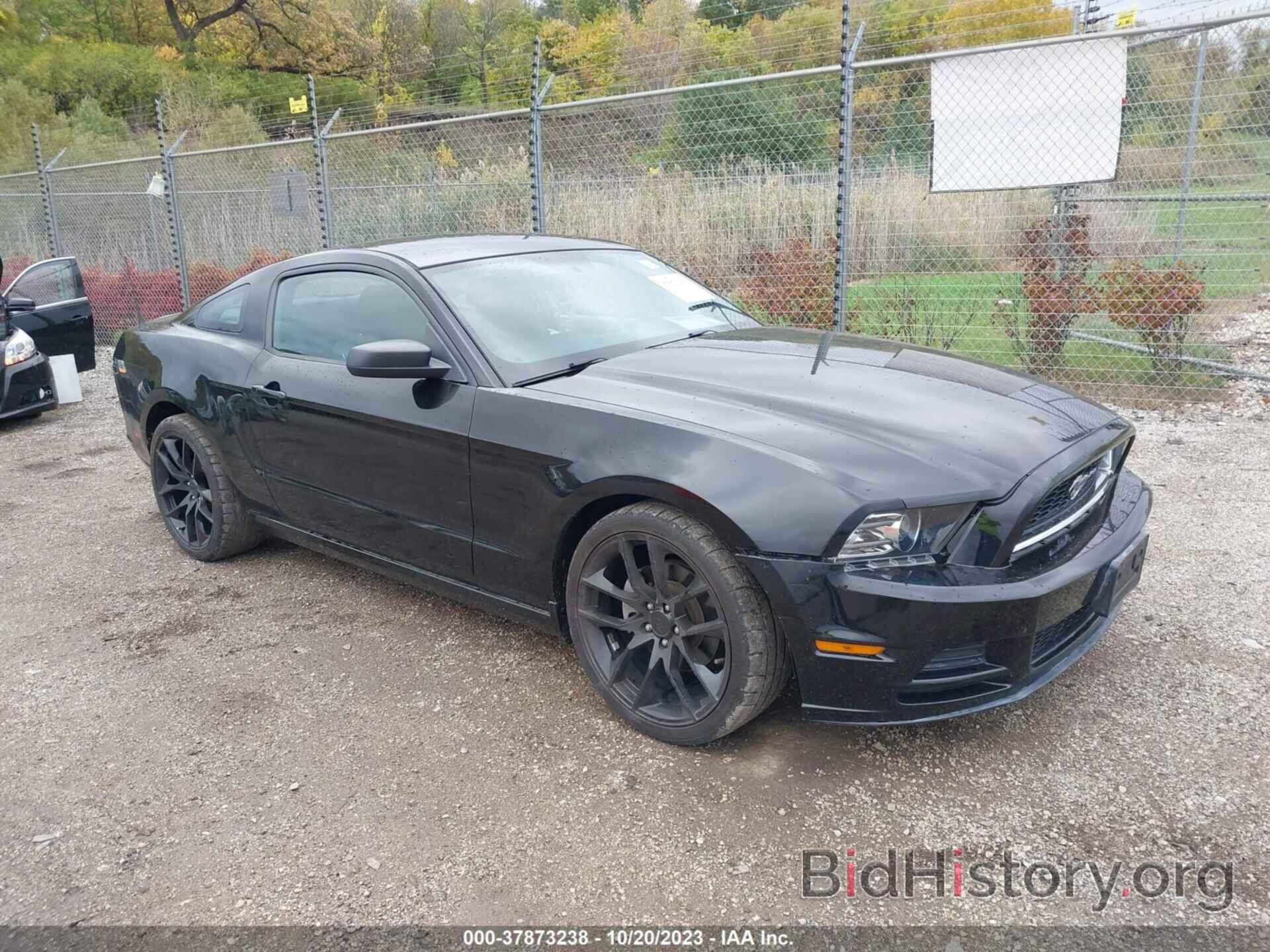Photo 1ZVBP8AM3E5328248 - FORD MUSTANG 2014