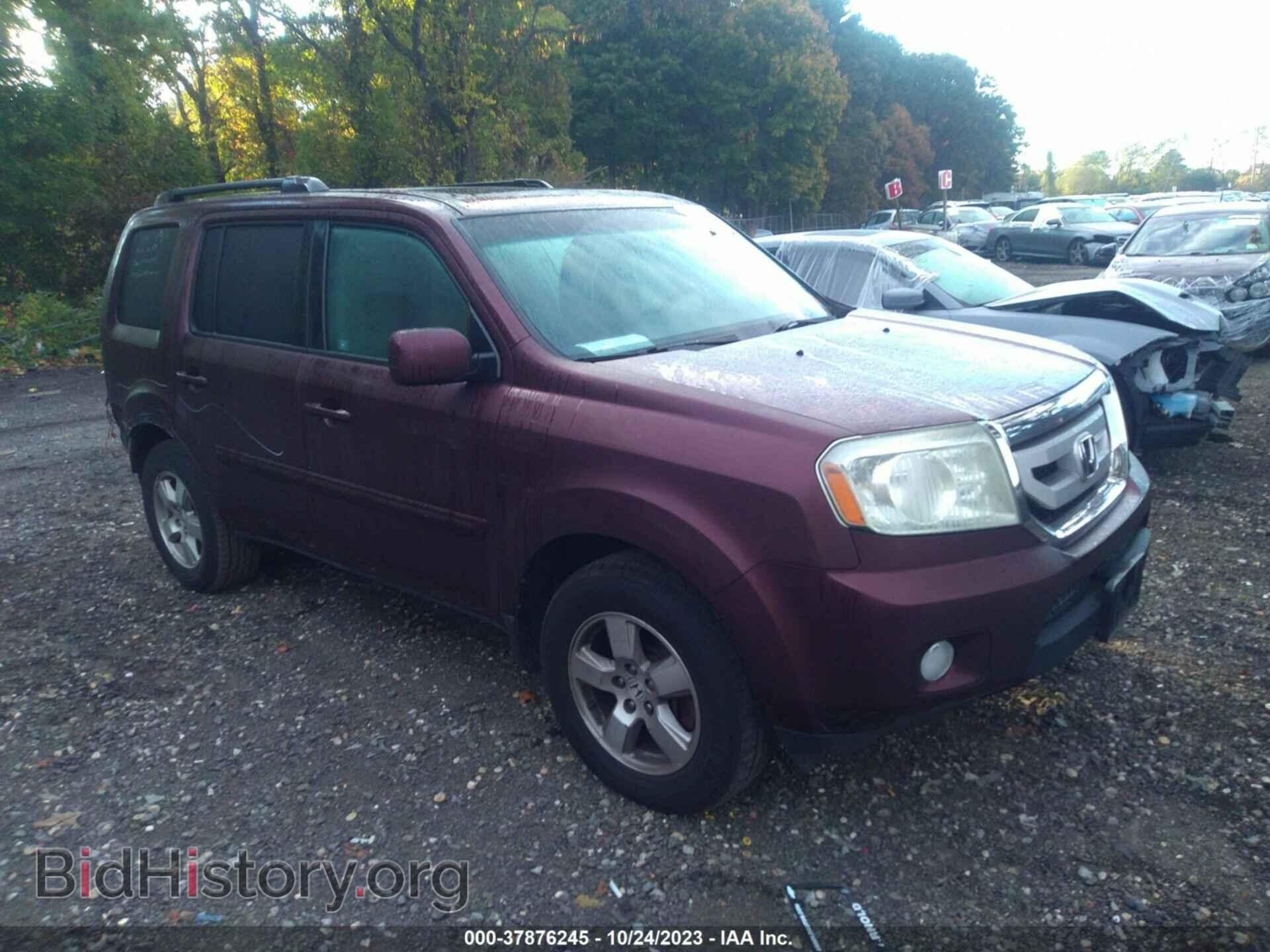Photo 5FNYF4H65BB070034 - HONDA PILOT 2011
