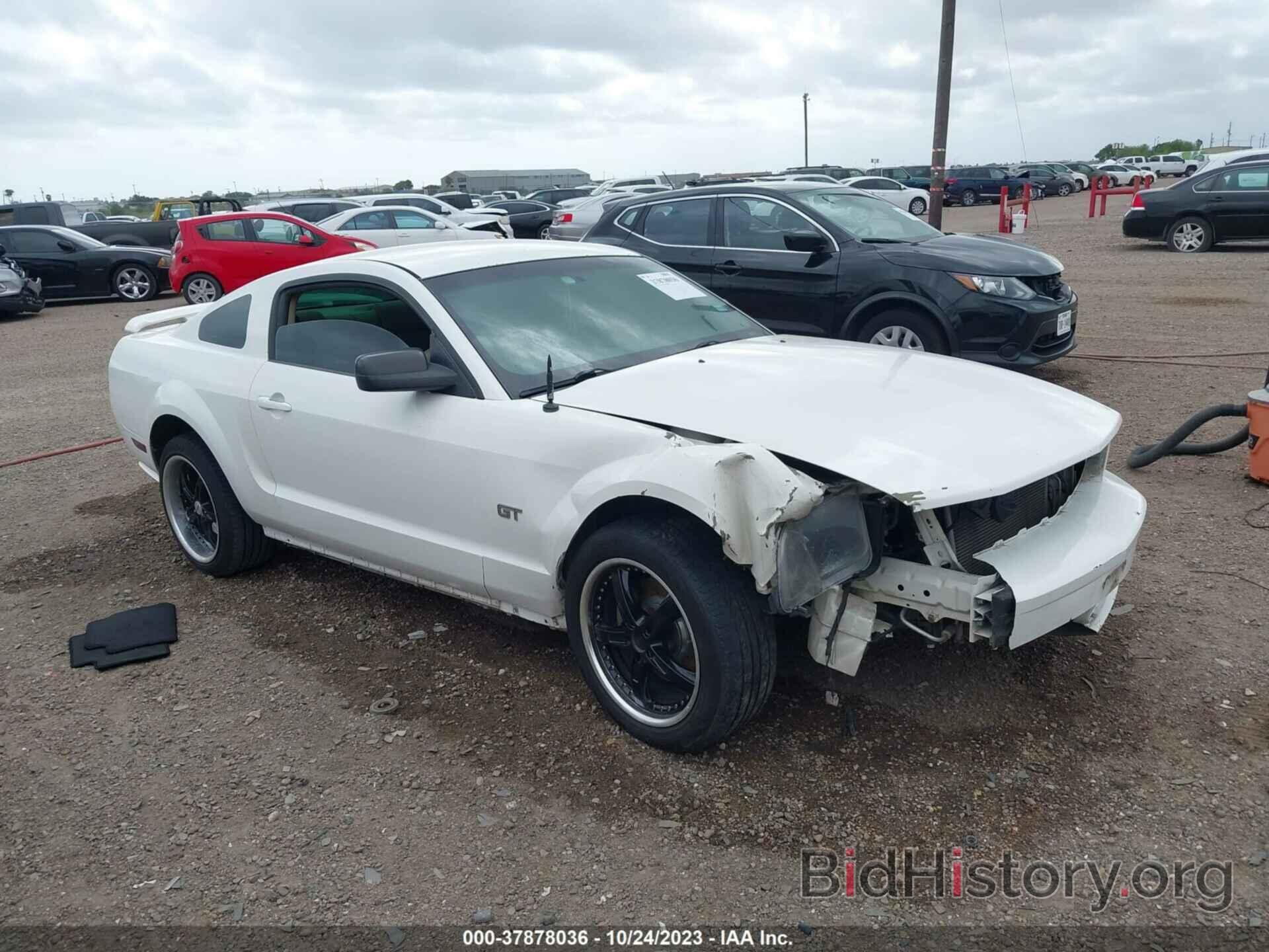 Photo 1ZVHT82H385101329 - FORD MUSTANG 2008