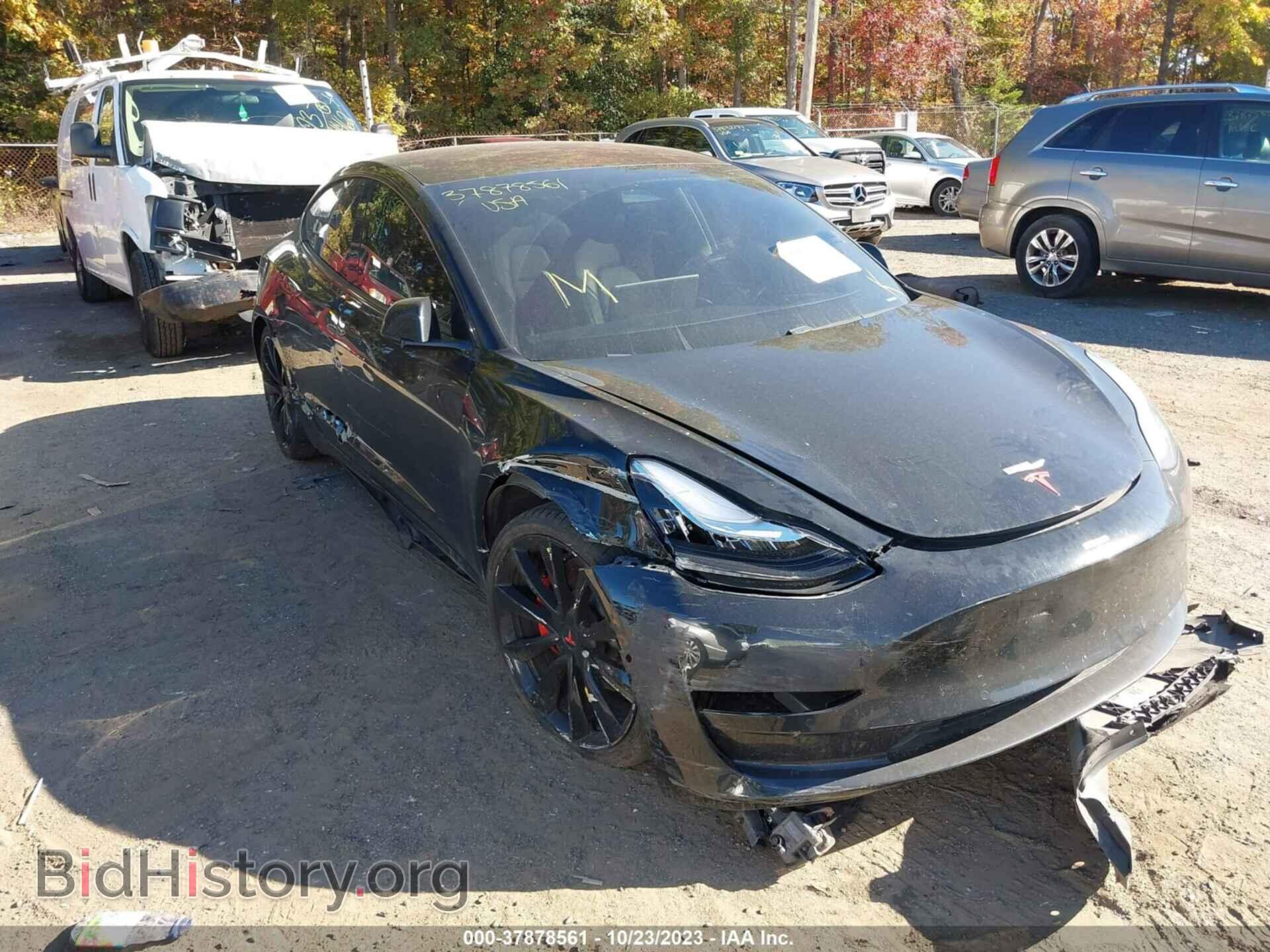 2019 TESLA MODEL 3 - VIN: 5YJ3E1EB8KF231067 - Фото 6