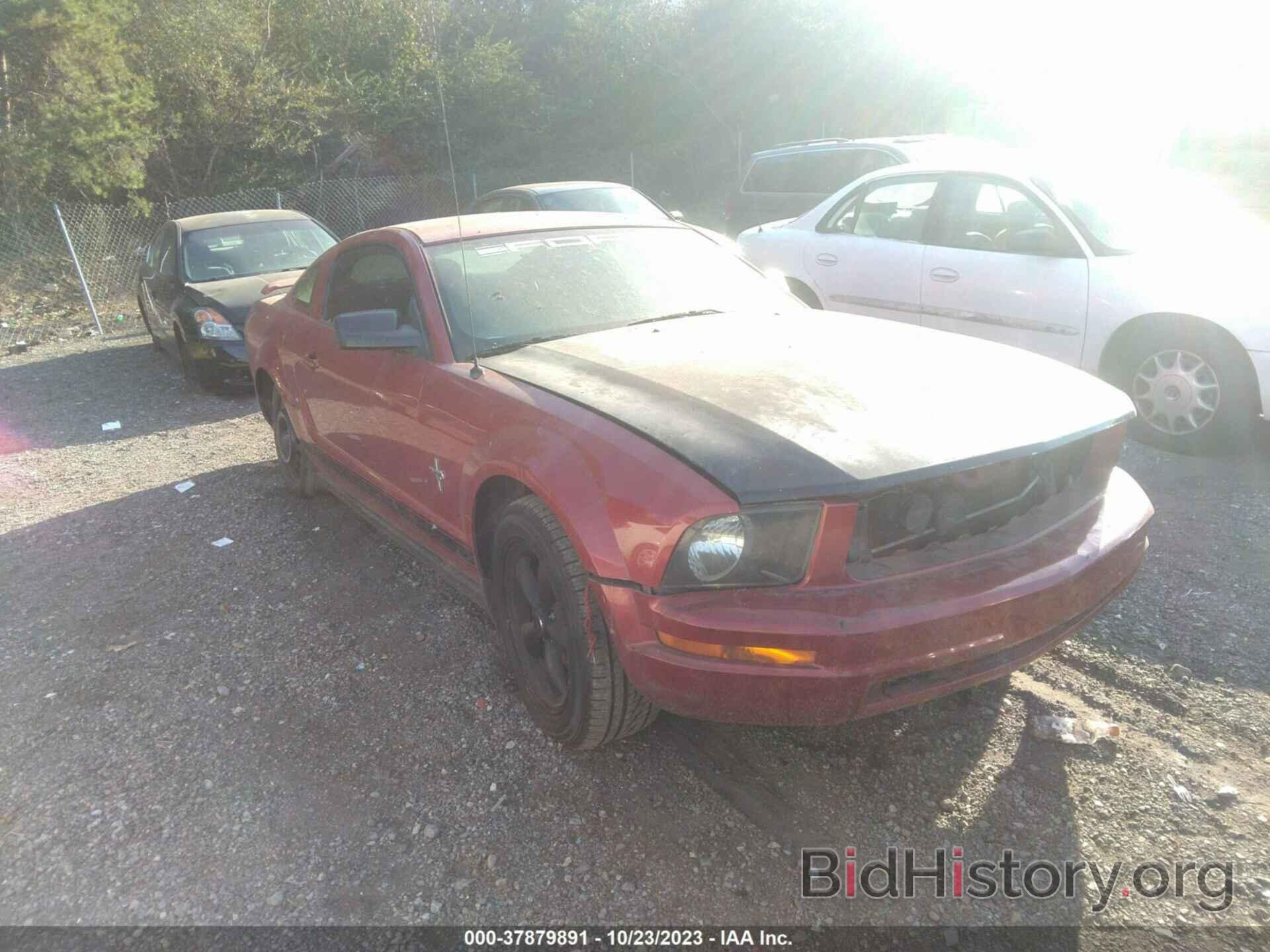 Photo 1ZVHT80N685101947 - FORD MUSTANG 2008