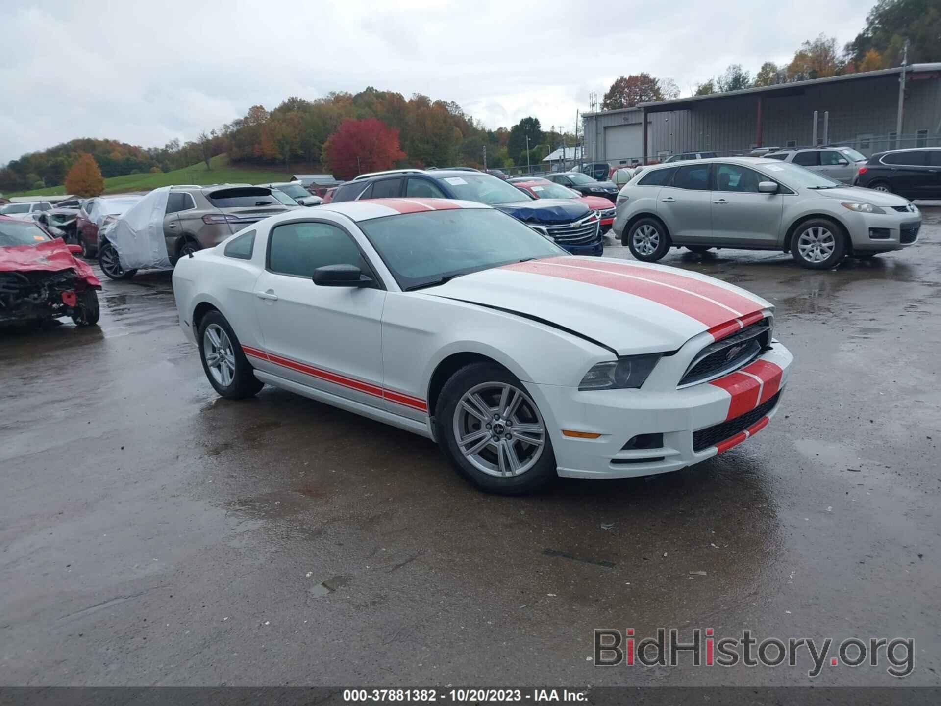Photo 1ZVBP8AM7E5313977 - FORD MUSTANG 2014