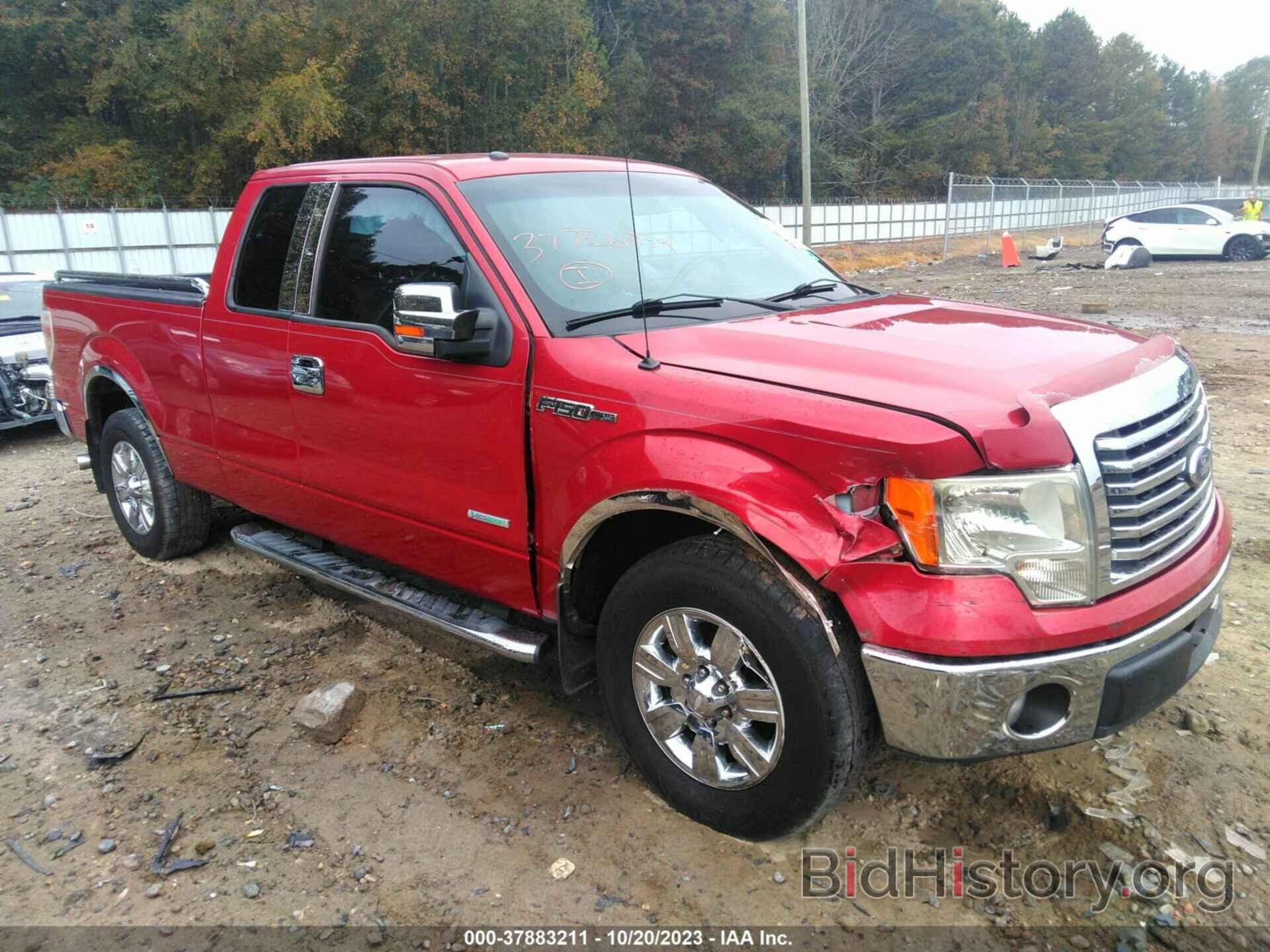 Photo 1FTFX1CT7BFD01351 - FORD F-150 2011