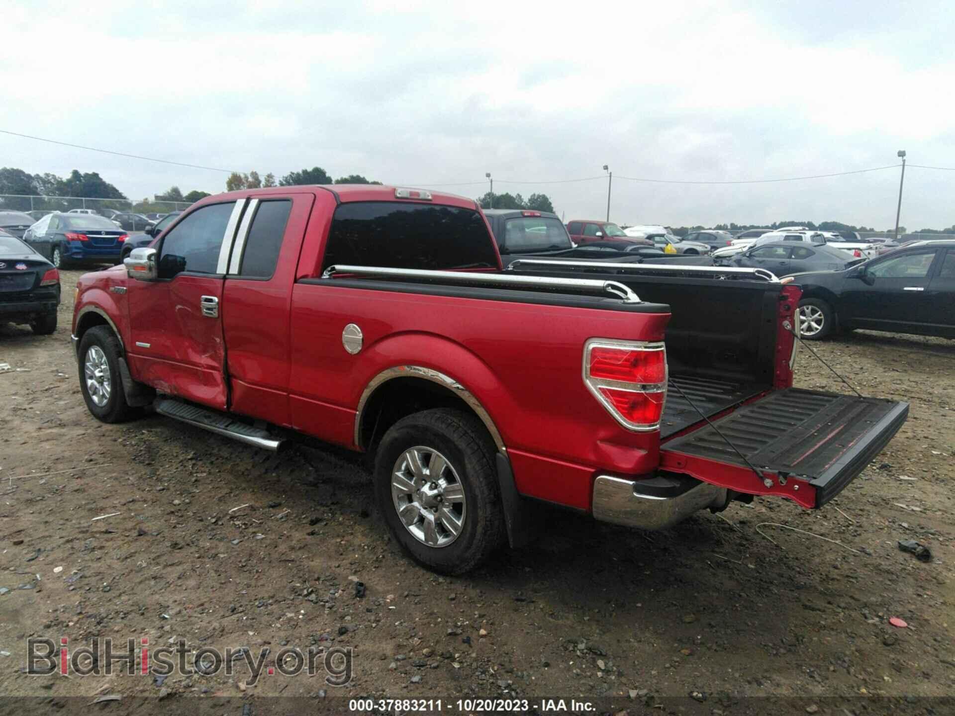 2011 FORD F-150 - VIN: 1FTFX1CT7BFD01351 - Фото 3