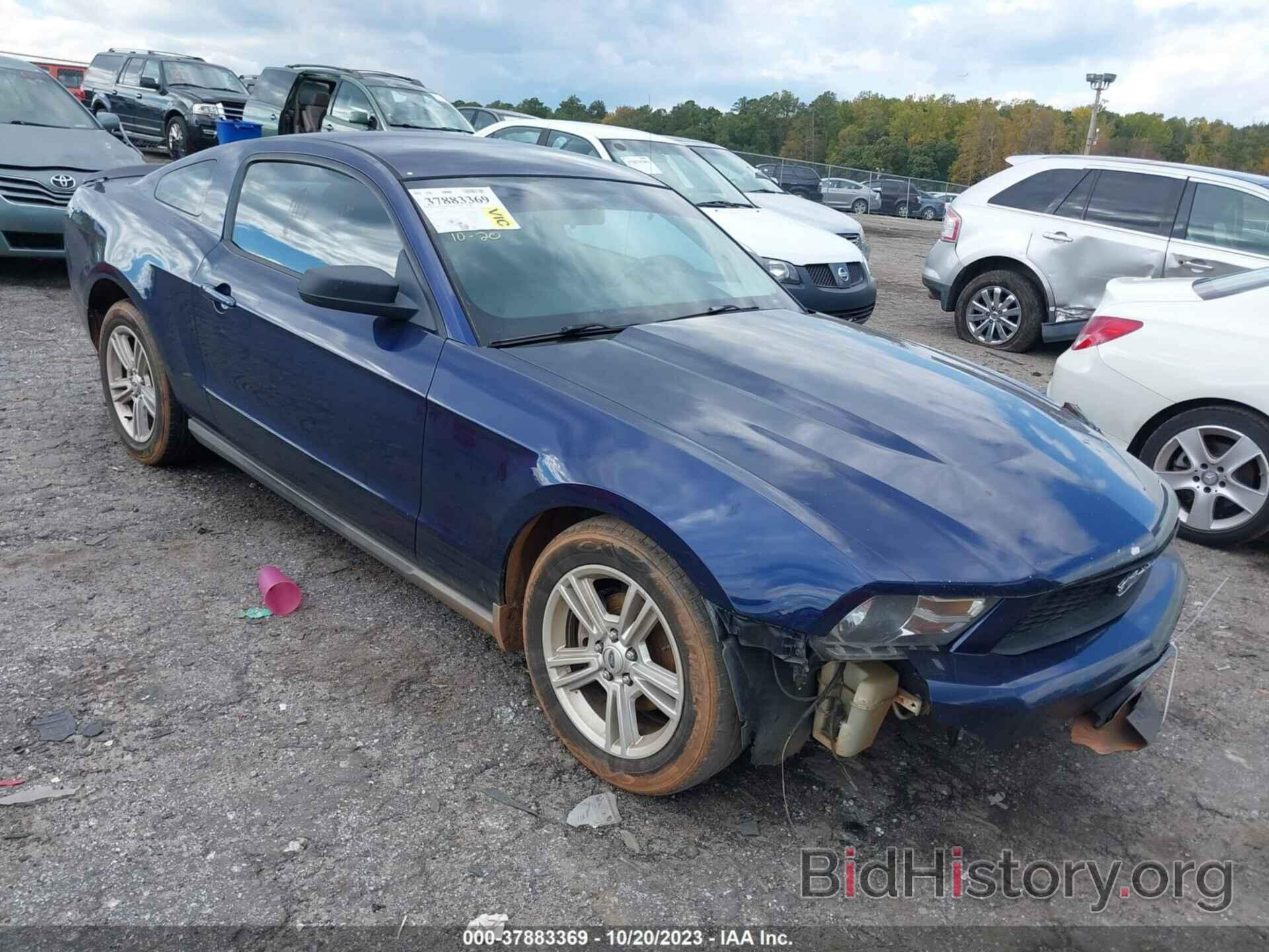 Photo 1ZVBP8AN9A5128297 - FORD MUSTANG 2010