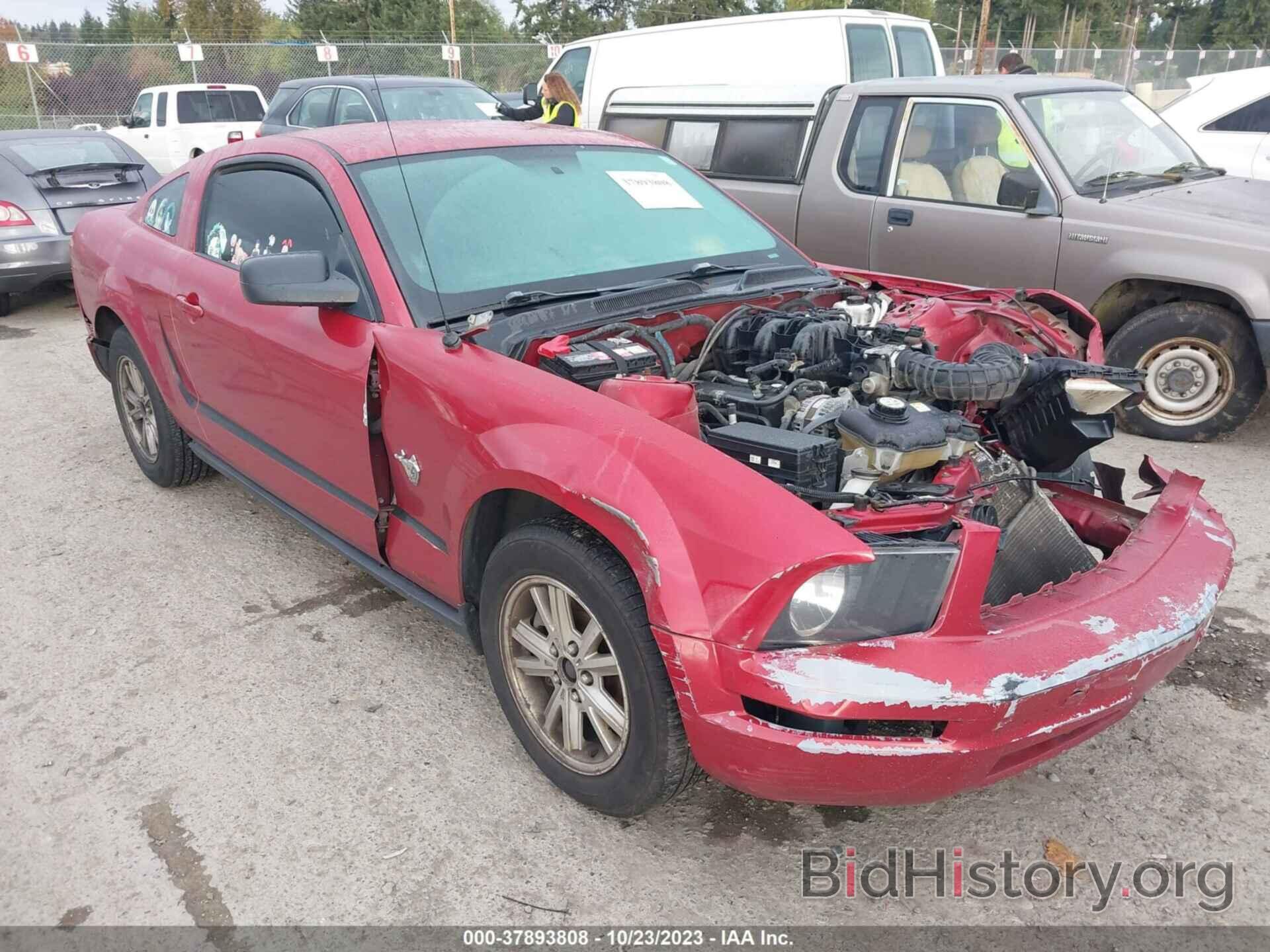 Photo 1ZVHT80N195108807 - FORD MUSTANG 2009