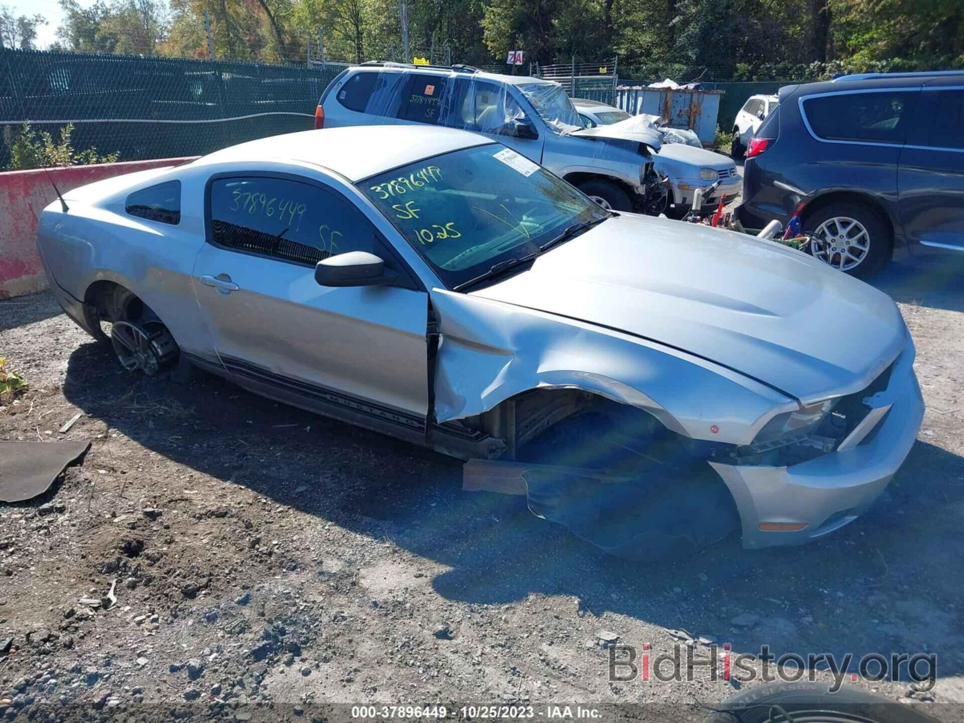 Photo 1ZVBP8AN1A5134014 - FORD MUSTANG 2010