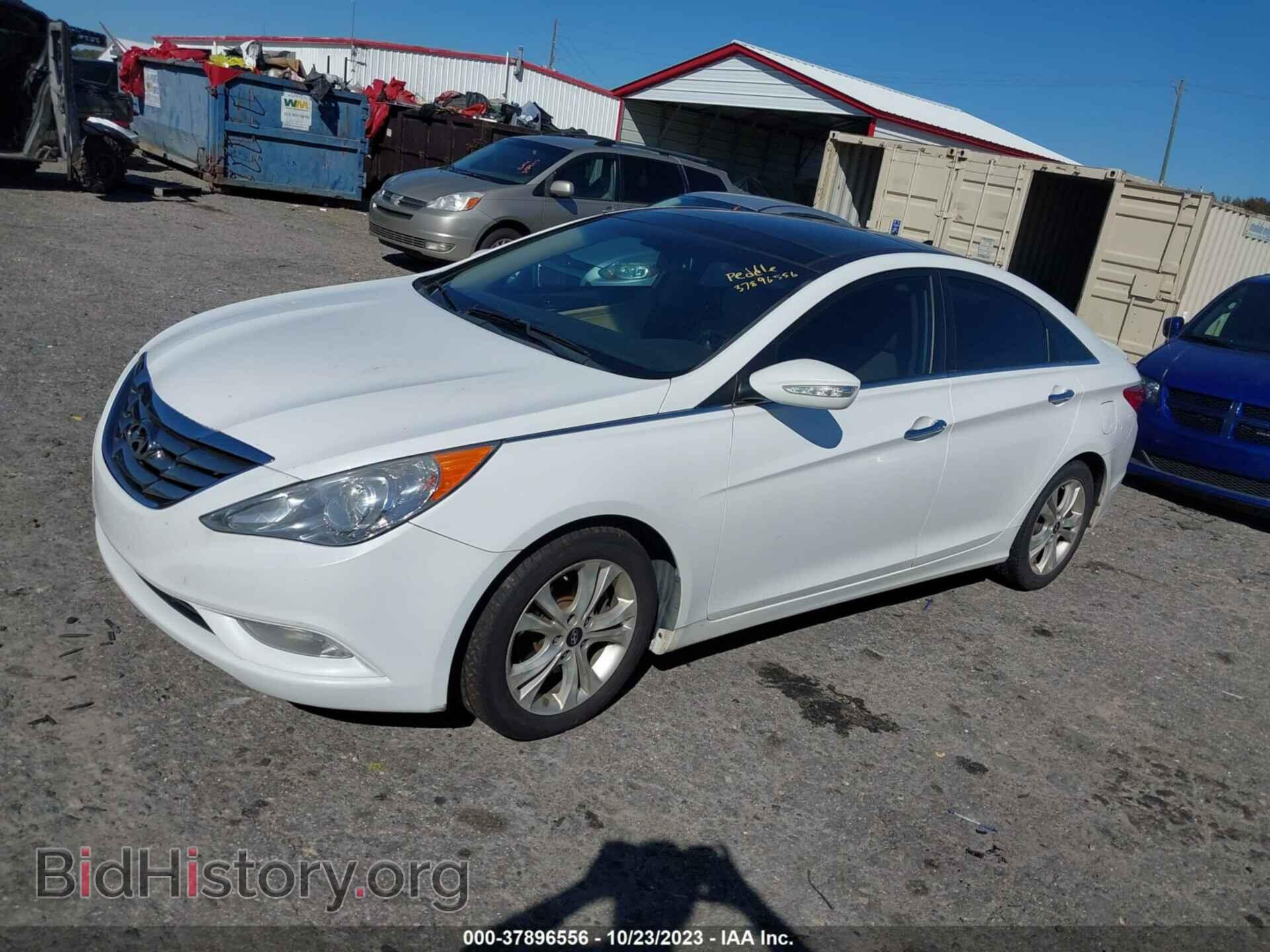 2013 HYUNDAI SONATA - VIN: 5NPEC4AC3DH629516 - Фото 2