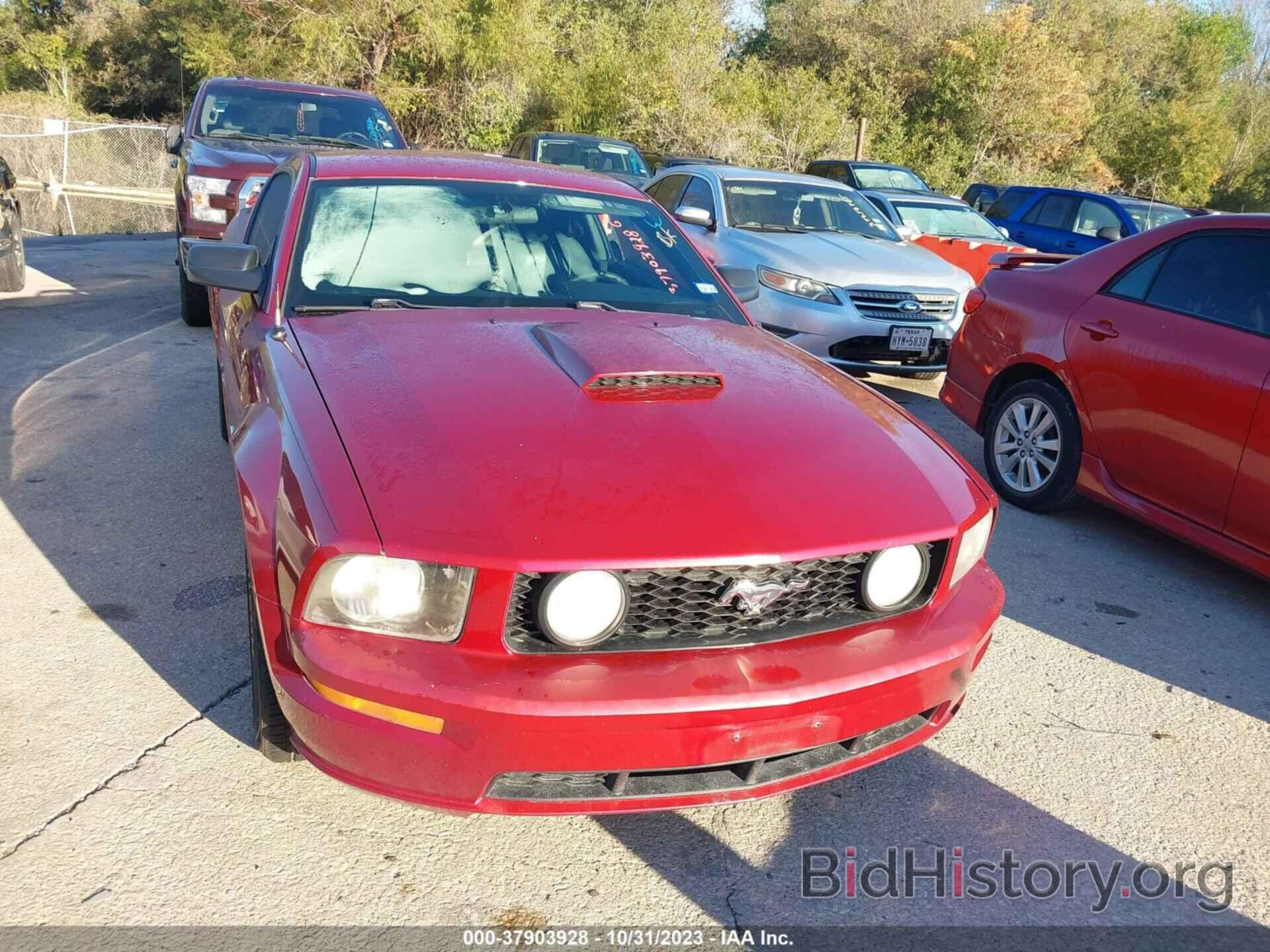 Photo 1ZVFT82H975334198 - FORD MUSTANG 2007