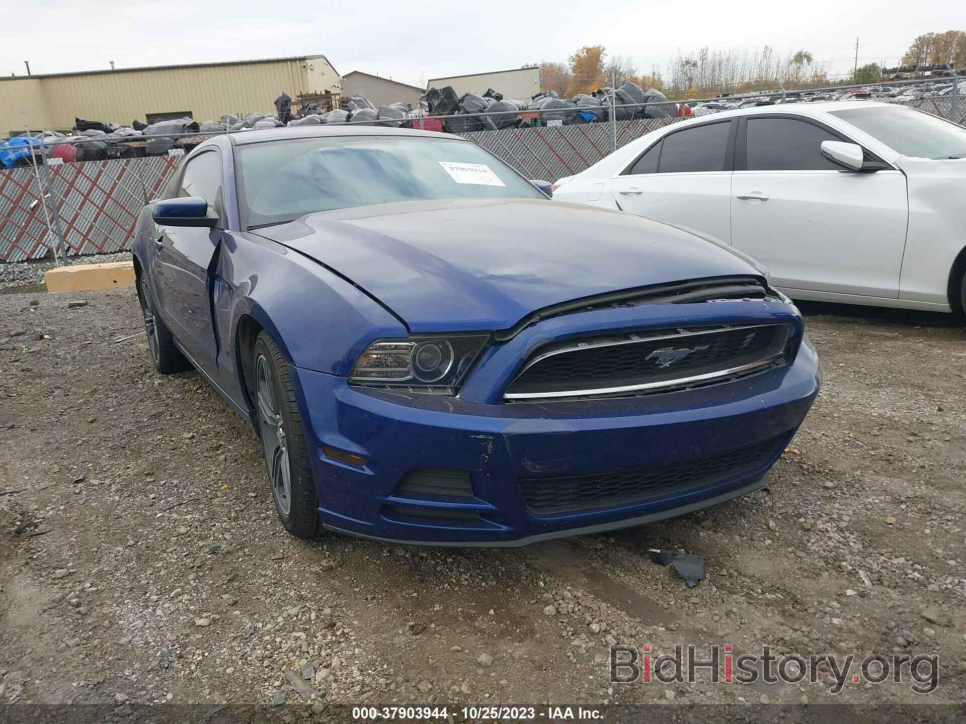 Photo 1ZVBP8AM8D5263413 - FORD MUSTANG 2013