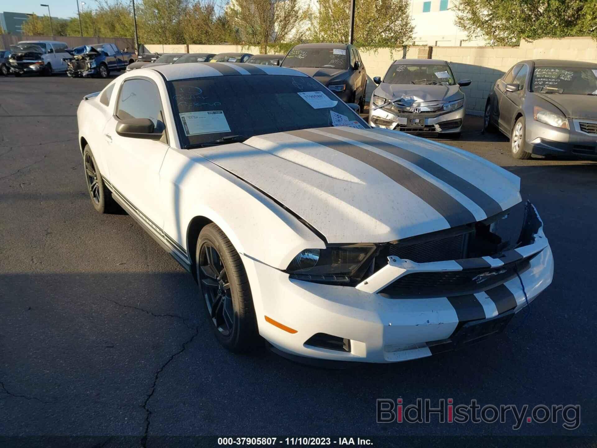 Photo 1ZVBP8AM6C5253008 - FORD MUSTANG 2012