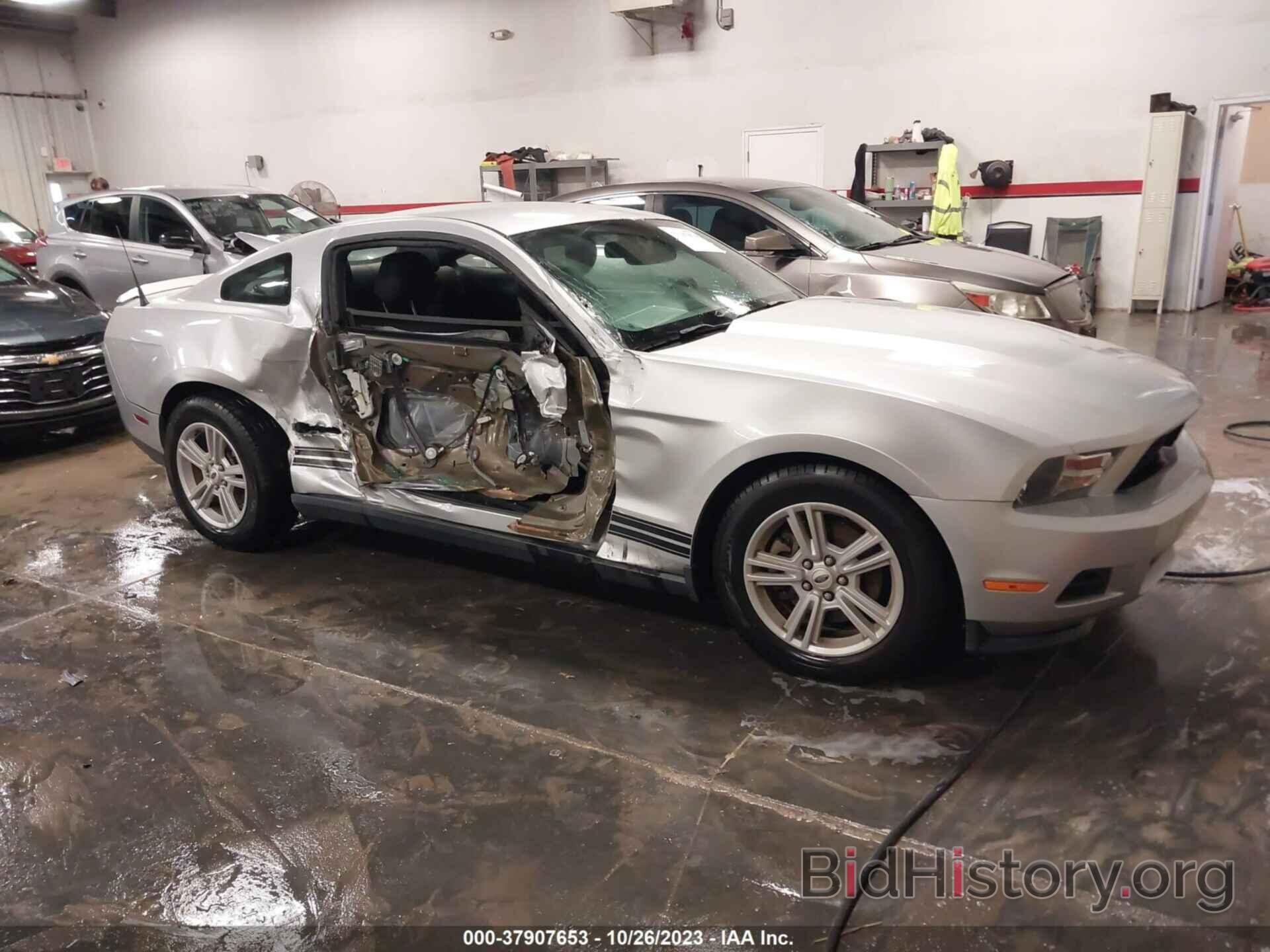 Photo 1ZVBP8AM4C5264380 - FORD MUSTANG 2012