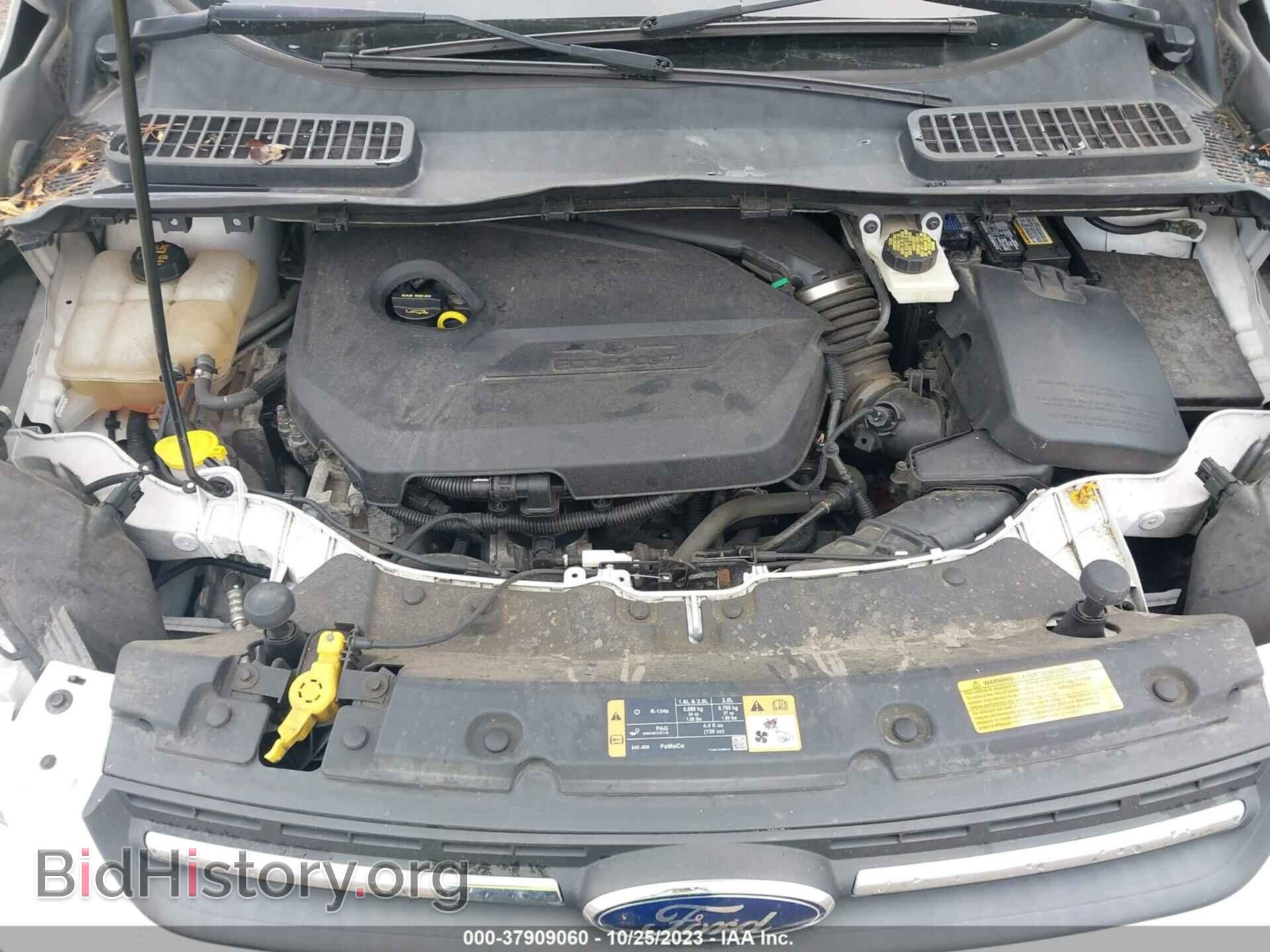 2014 FORD ESCAPE - VIN: 1FMCU0GX4EUE15239 - Photo 10