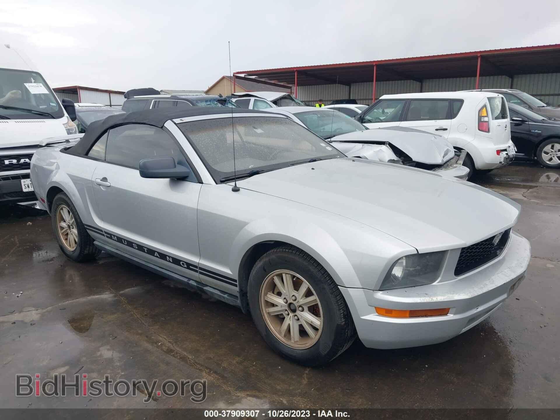 Photo 1ZVFT84N565107091 - FORD MUSTANG 2006