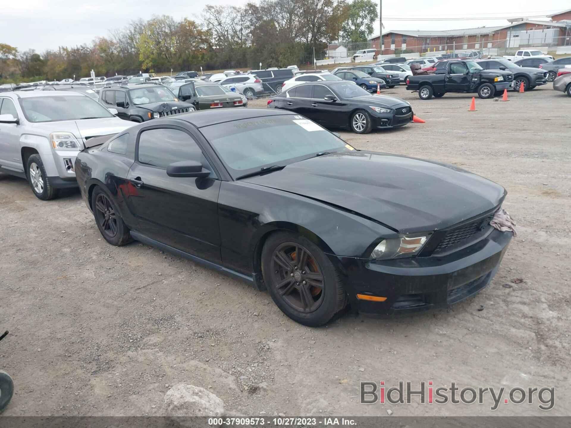 Photo 1ZVBP8AM5C5211381 - FORD MUSTANG 2012