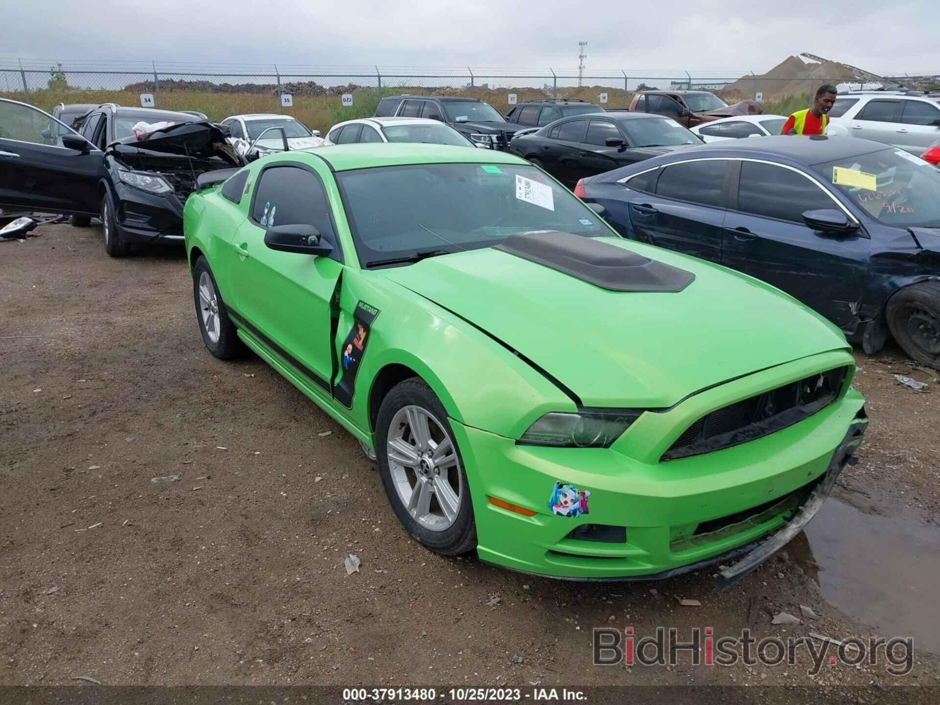 Photo 1ZVBP8AM4D5269130 - FORD MUSTANG 2013