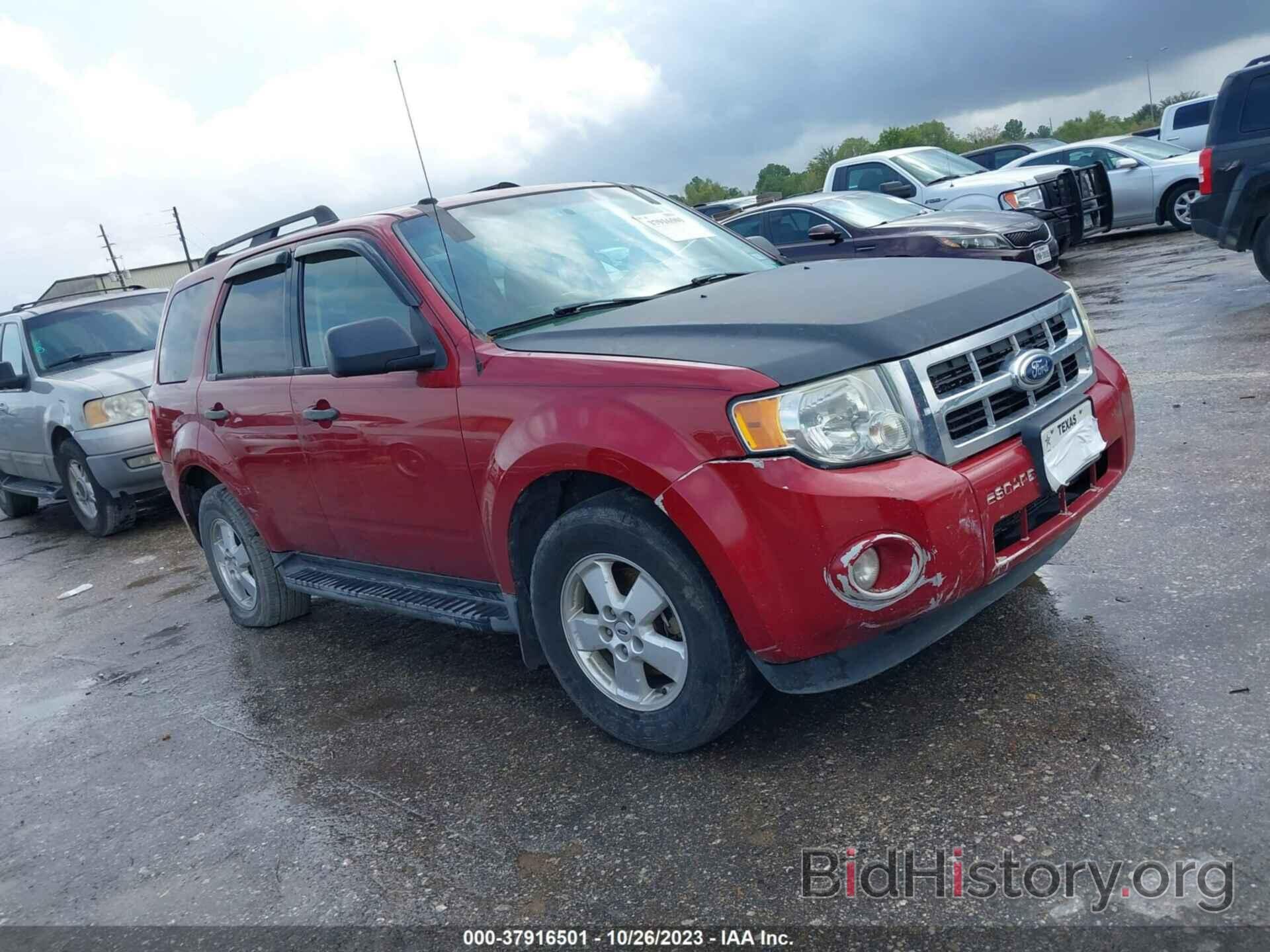 Ford Escape 2011