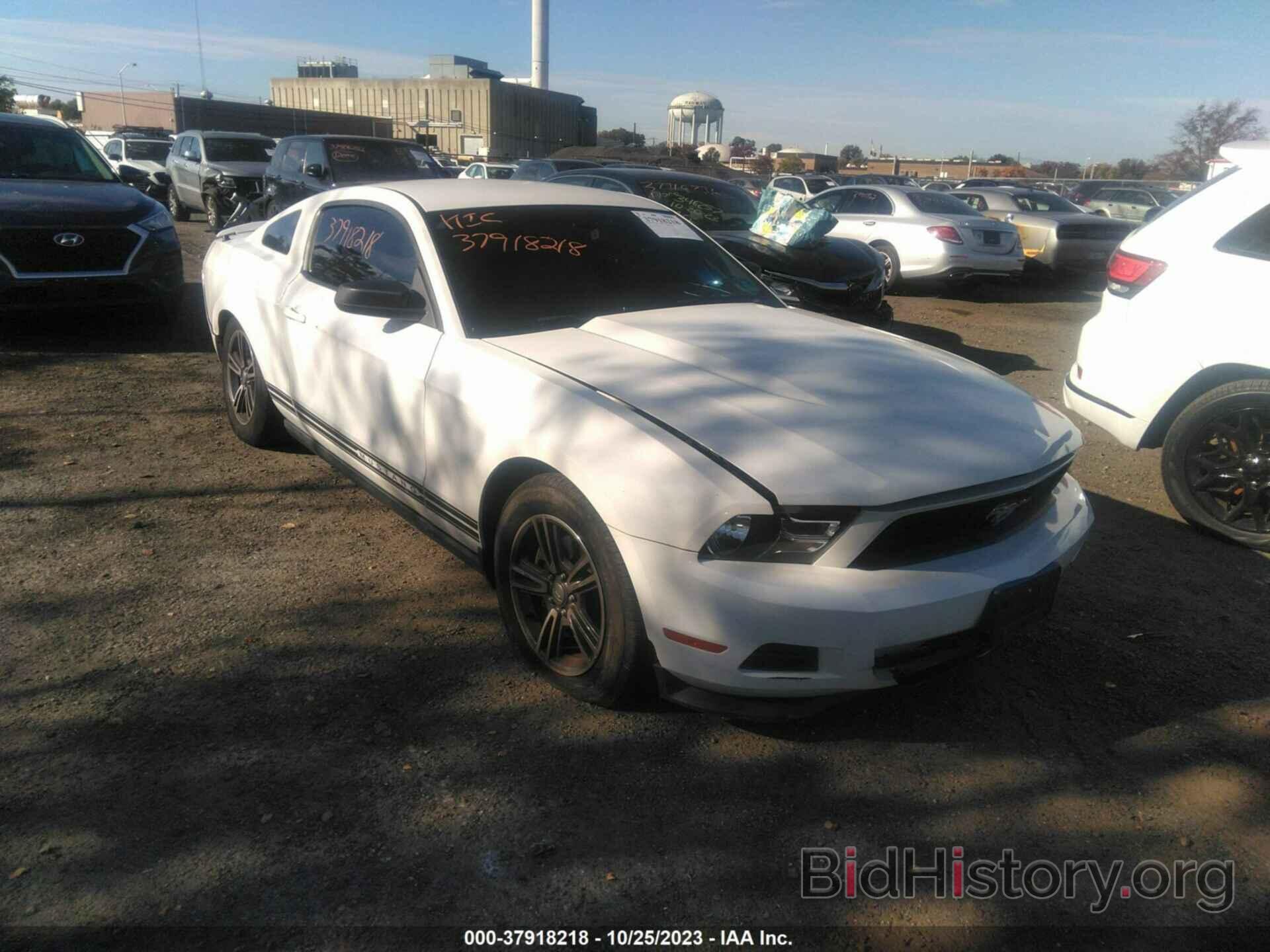 Photo 1ZVBP8AM9C5282759 - FORD MUSTANG 2012