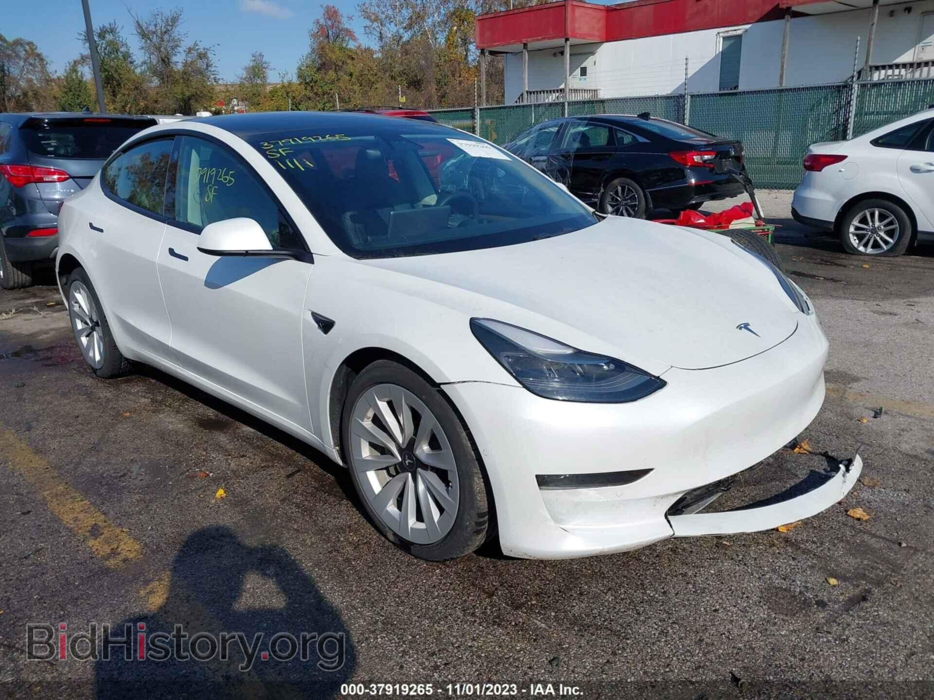Photo 5YJ3E1EA1MF041959 - TESLA MODEL 3 2021