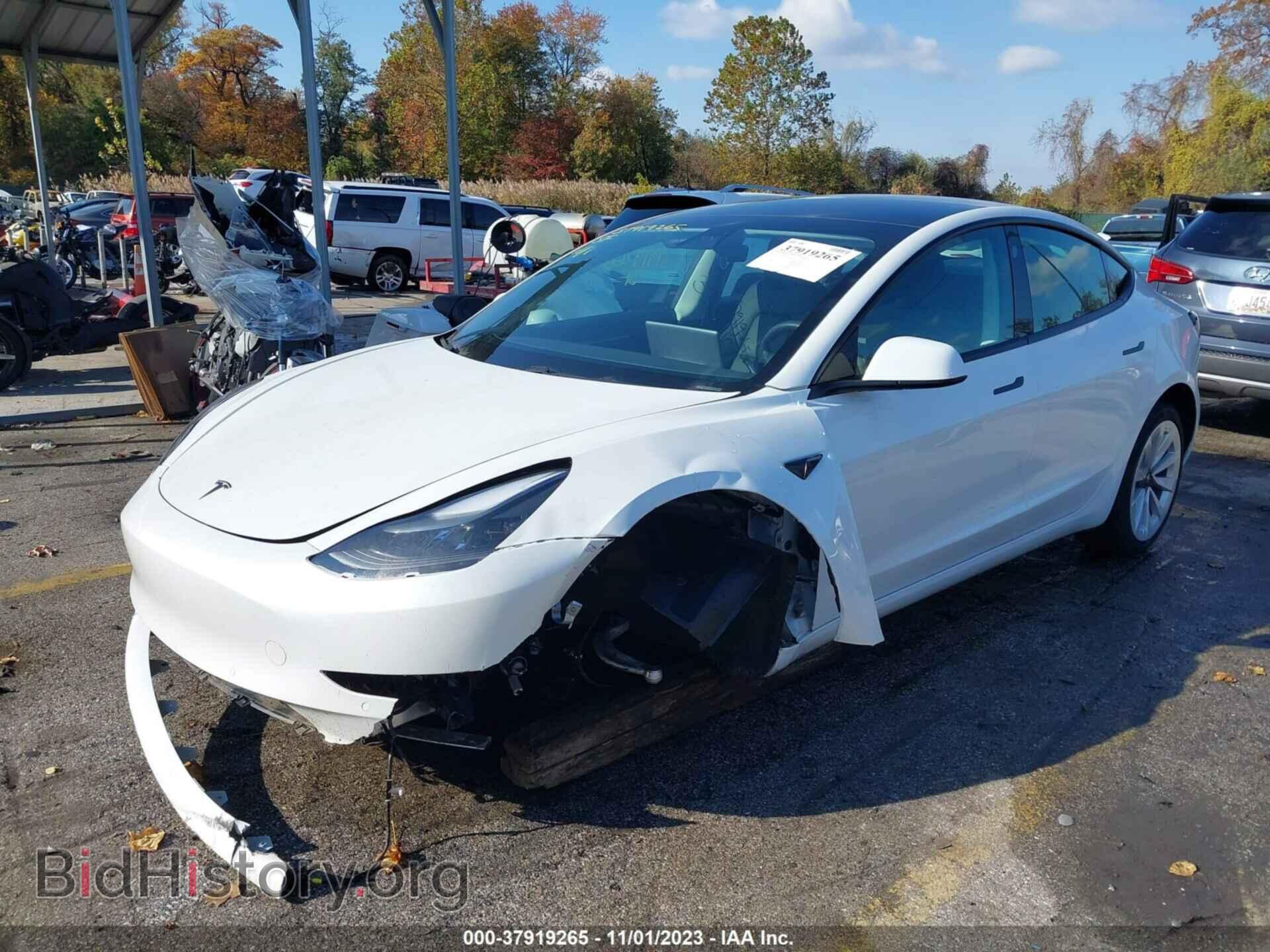 2021 TESLA MODEL 3 - VIN: 5YJ3E1EA1MF041959 - Photo 2