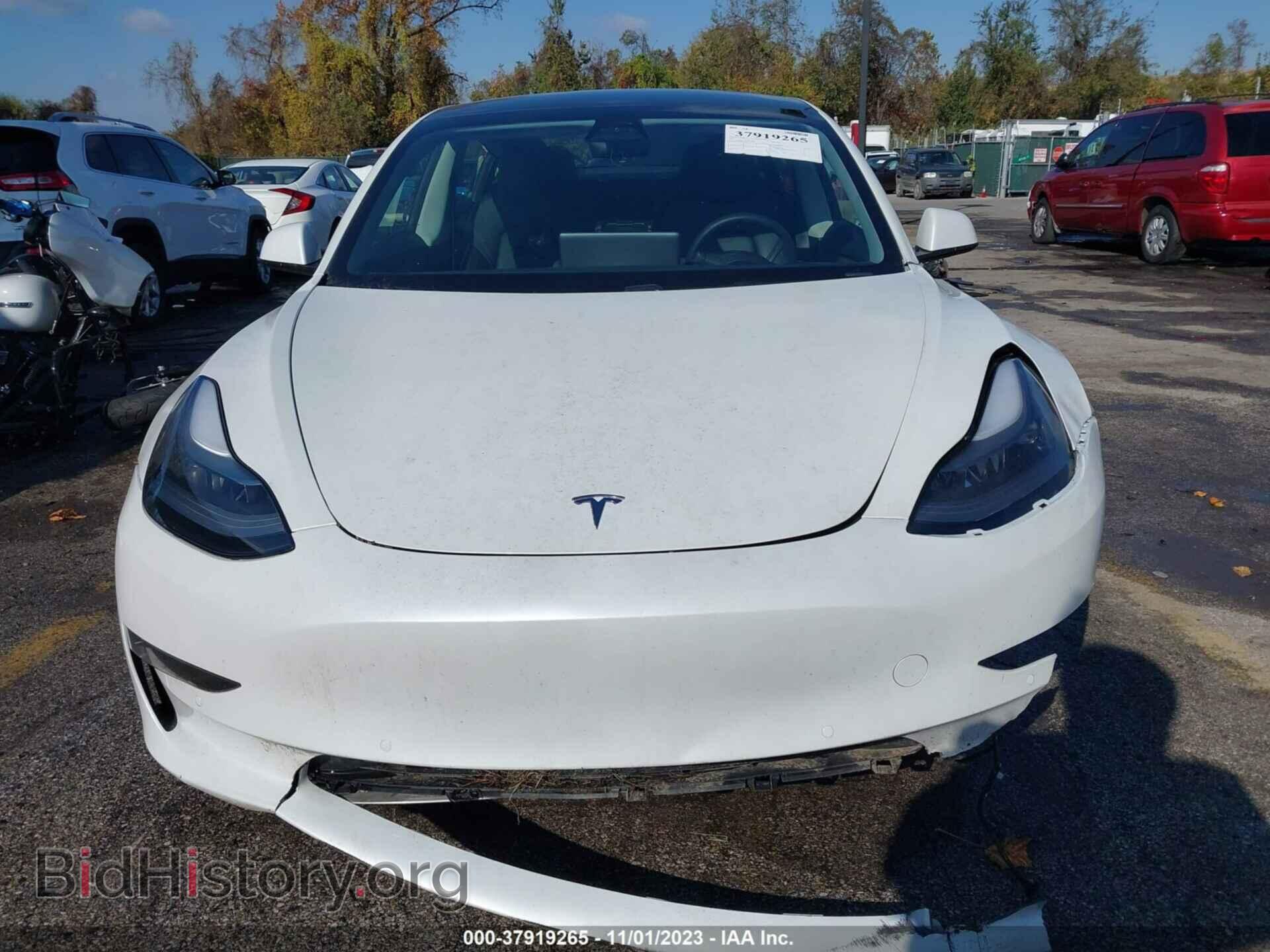 2021 TESLA MODEL 3 - VIN: 5YJ3E1EA1MF041959 - Photo 13