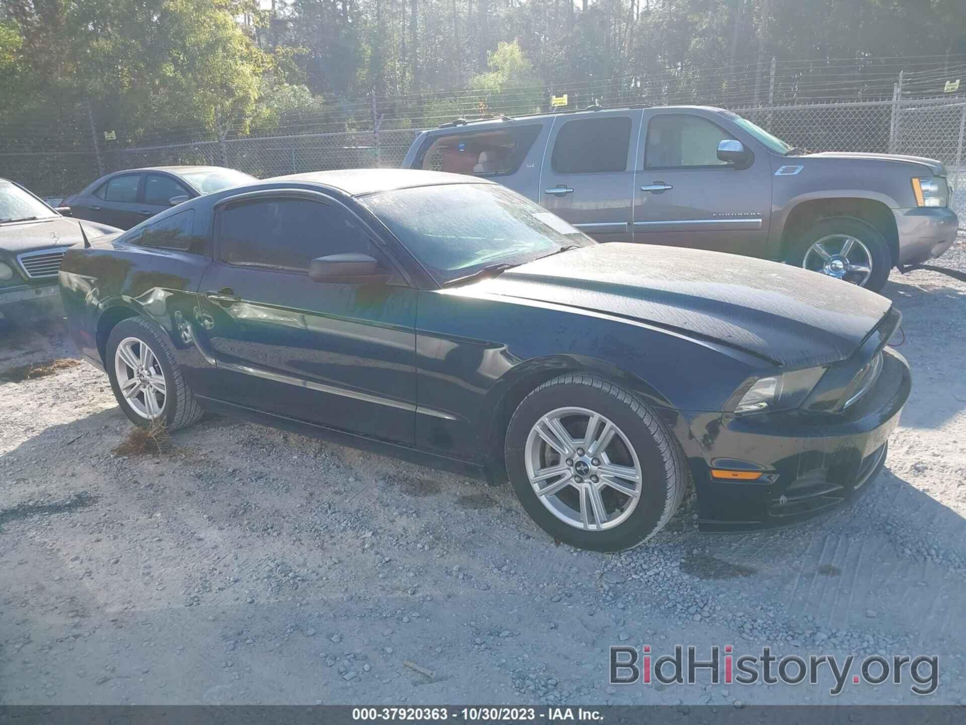 Photo 1ZVBP8AM5E5249020 - FORD MUSTANG 2014
