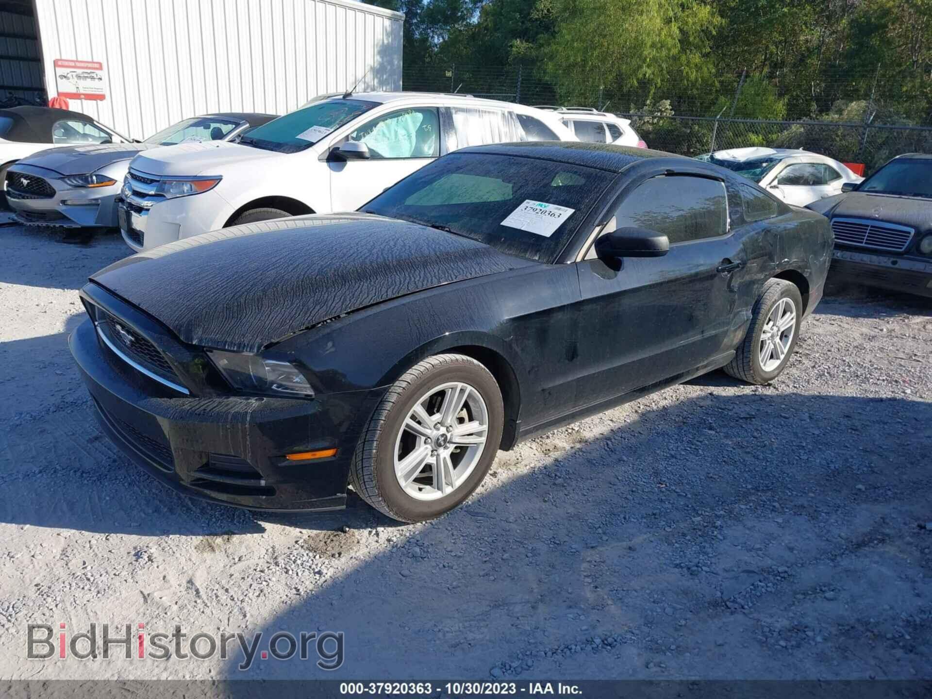 2014 FORD MUSTANG - VIN: 1ZVBP8AM5E5249020 - Фото 2