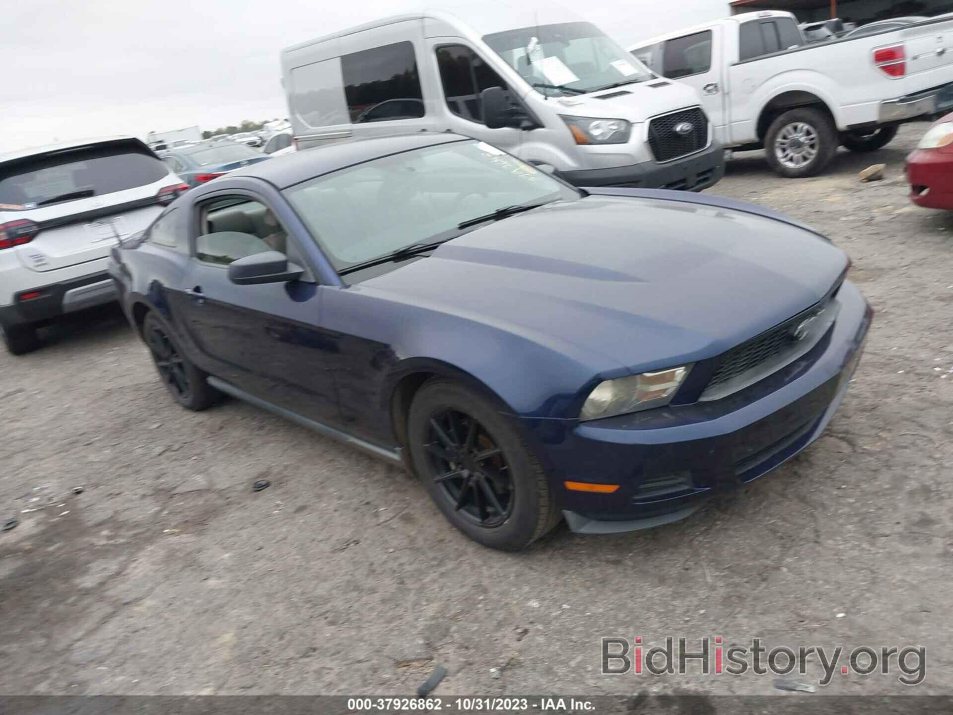 Photo 1ZVBP8AN3A5157830 - FORD MUSTANG 2010