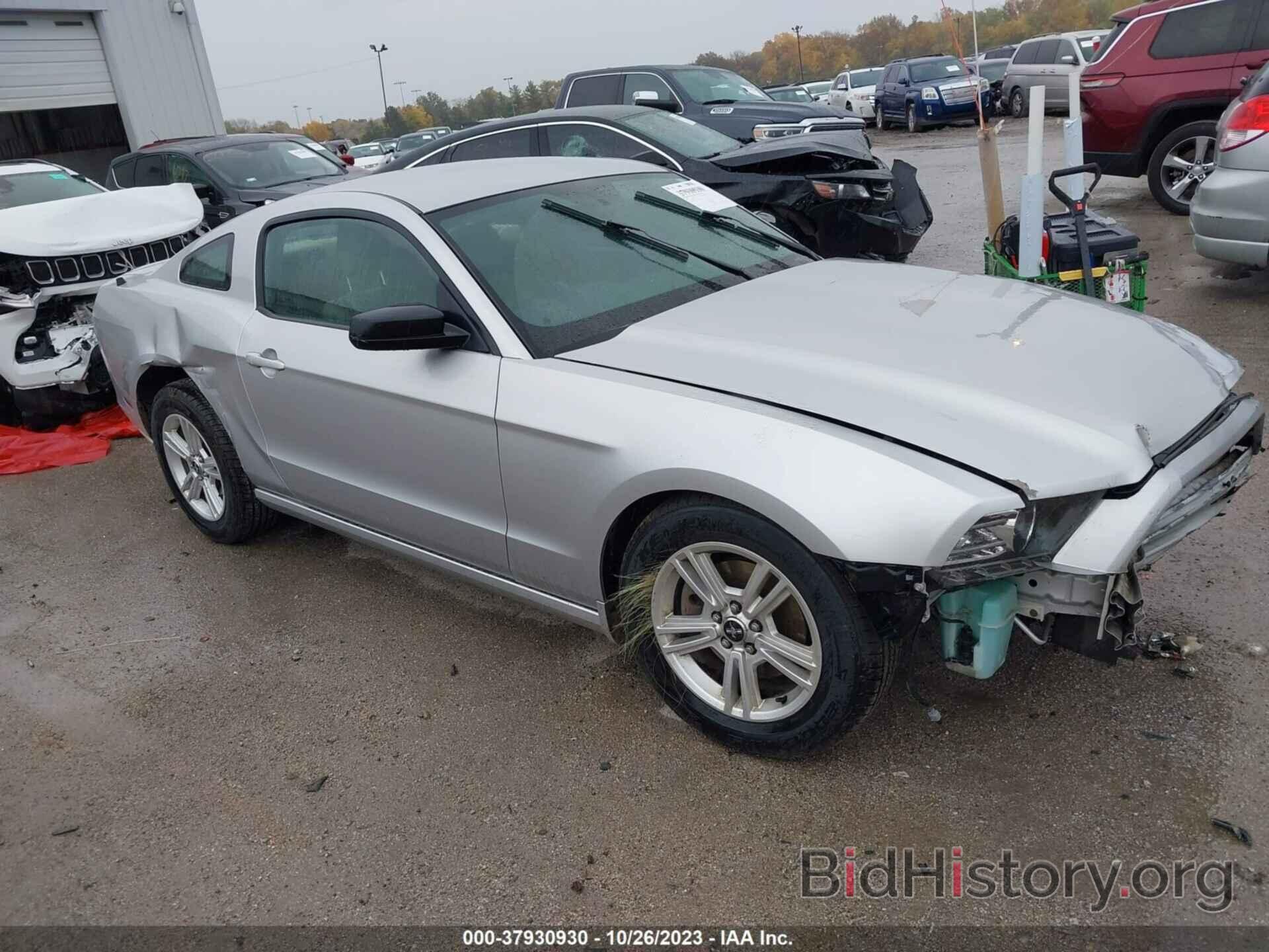 Photo 1ZVBP8AM7E5203723 - FORD MUSTANG 2014