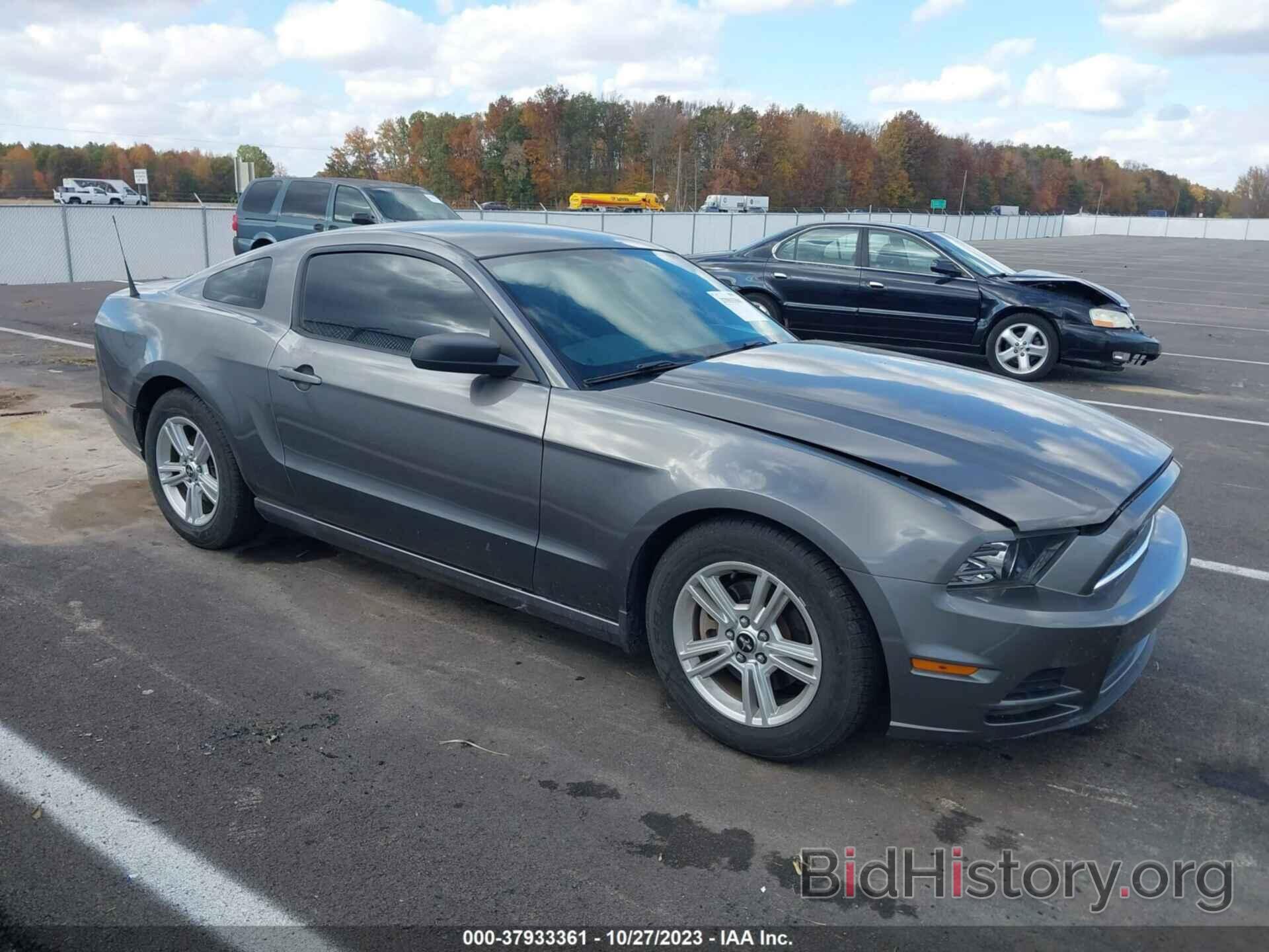 Photo 1ZVBP8AM9E5277533 - FORD MUSTANG 2014