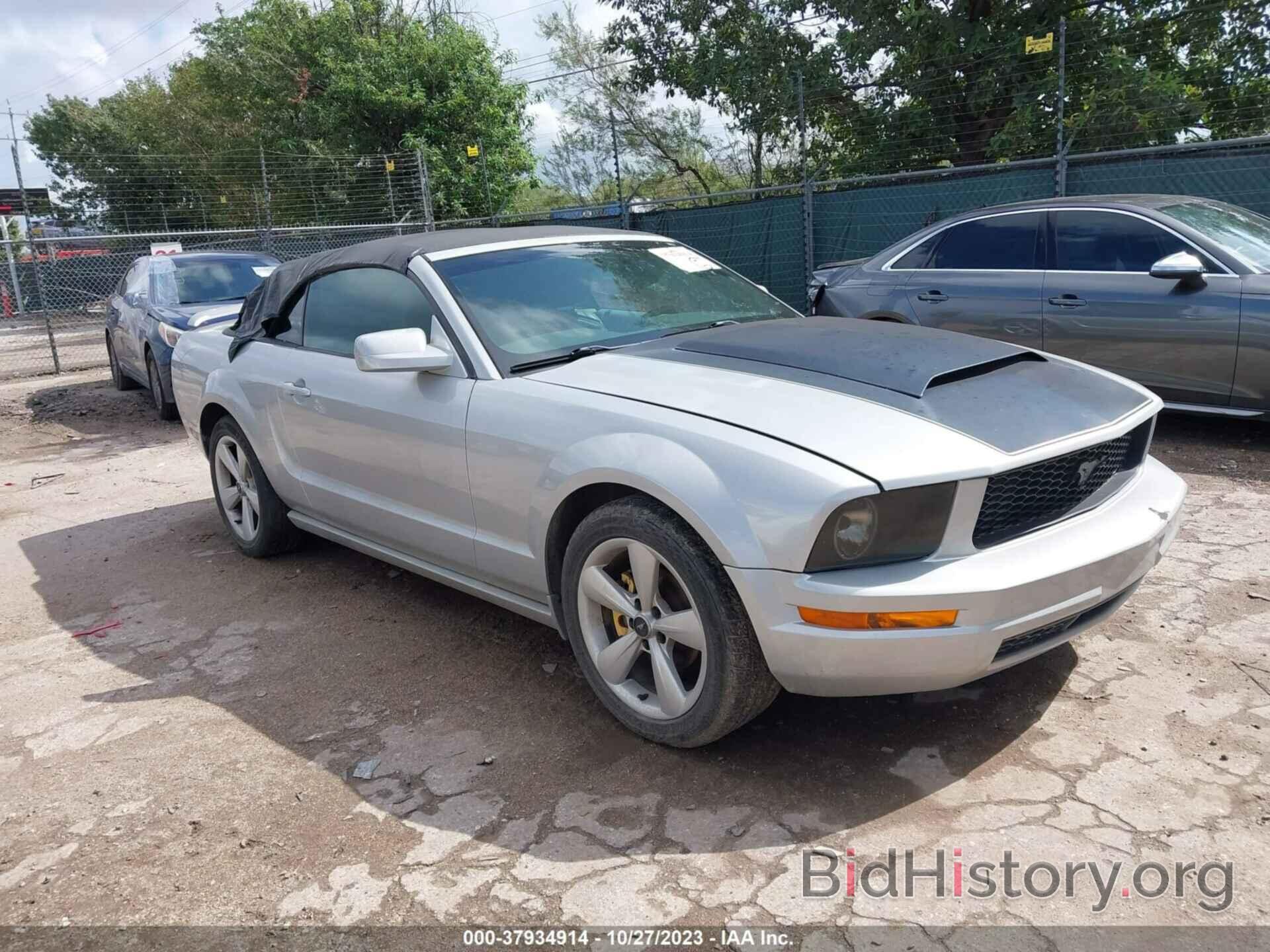 Photo 1ZVFT84N365151347 - FORD MUSTANG 2006