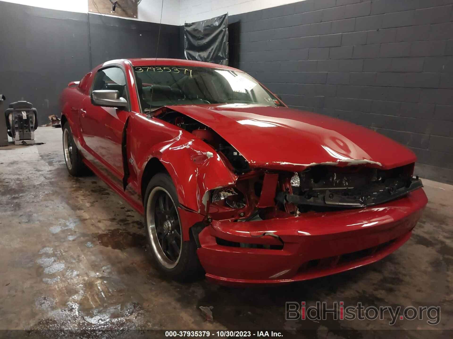 Photo 1ZVHT82H985131239 - FORD MUSTANG 2008