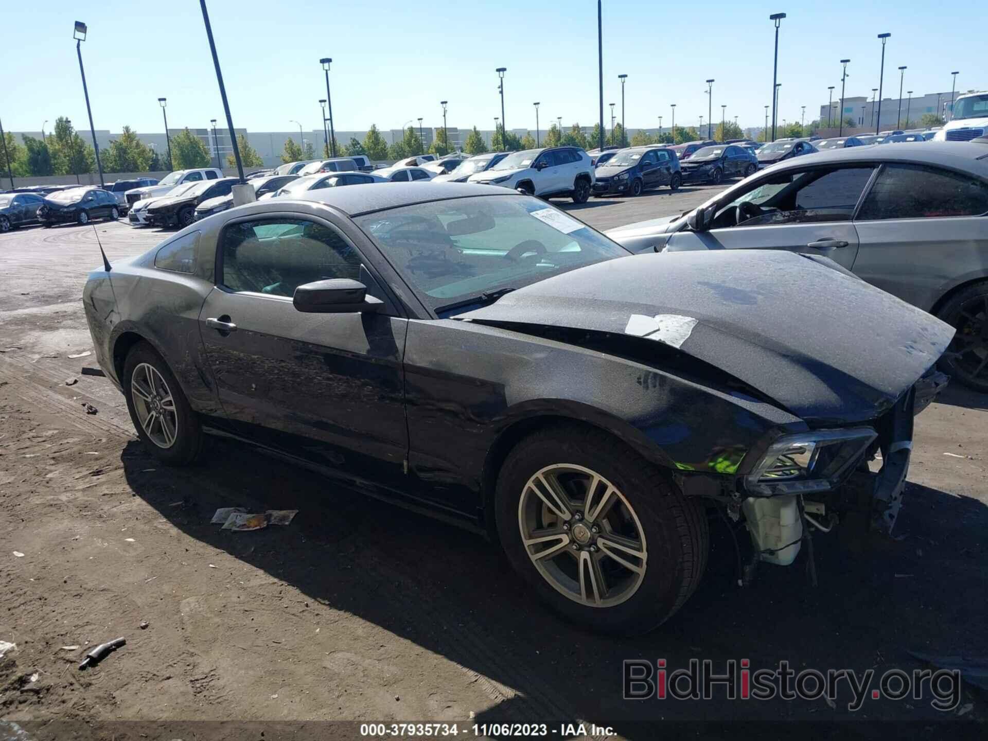 Photo 1ZVBP8AMXD5222829 - FORD MUSTANG 2013