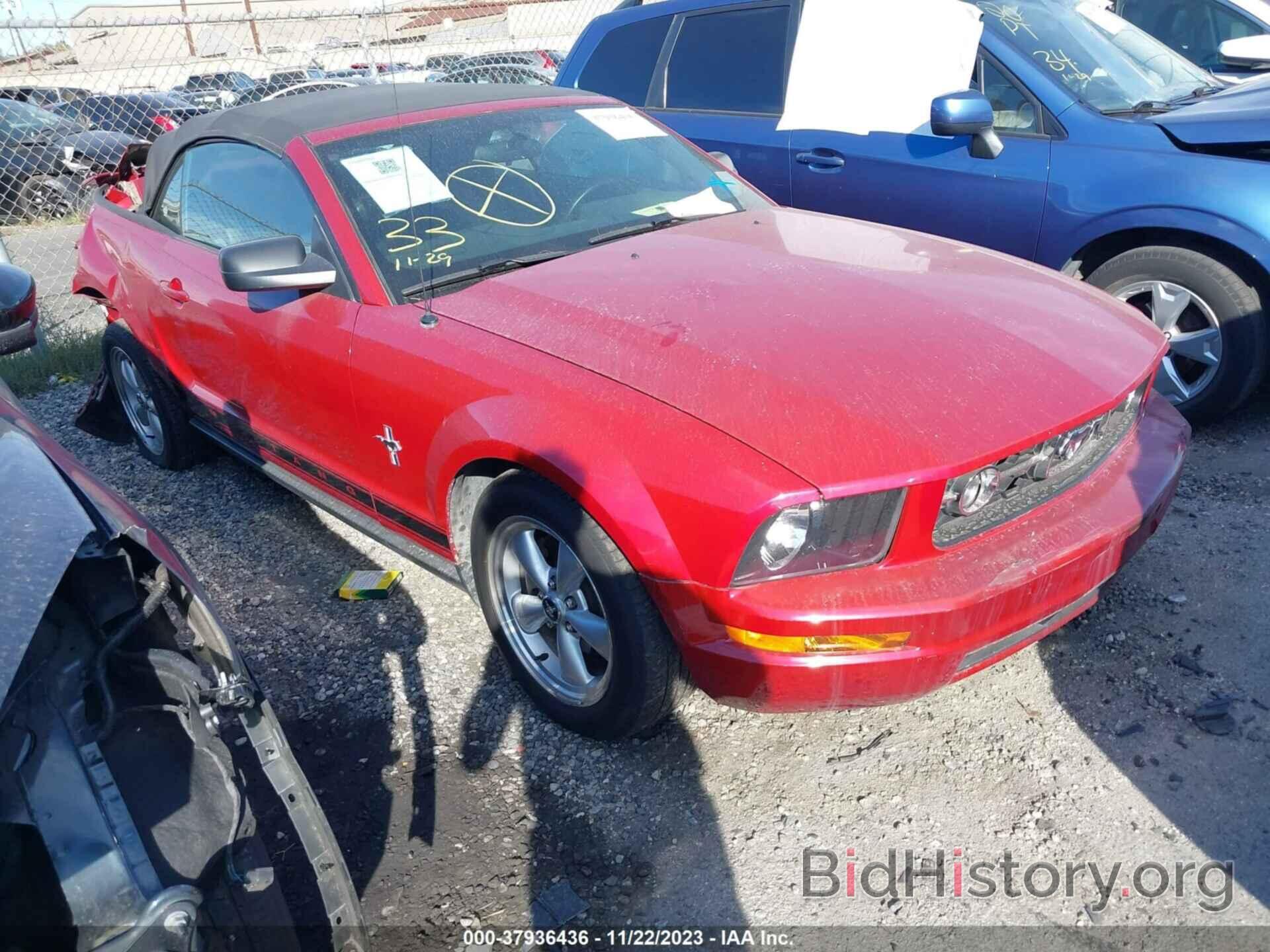 Photo 1ZVHT84N385126461 - FORD MUSTANG 2008