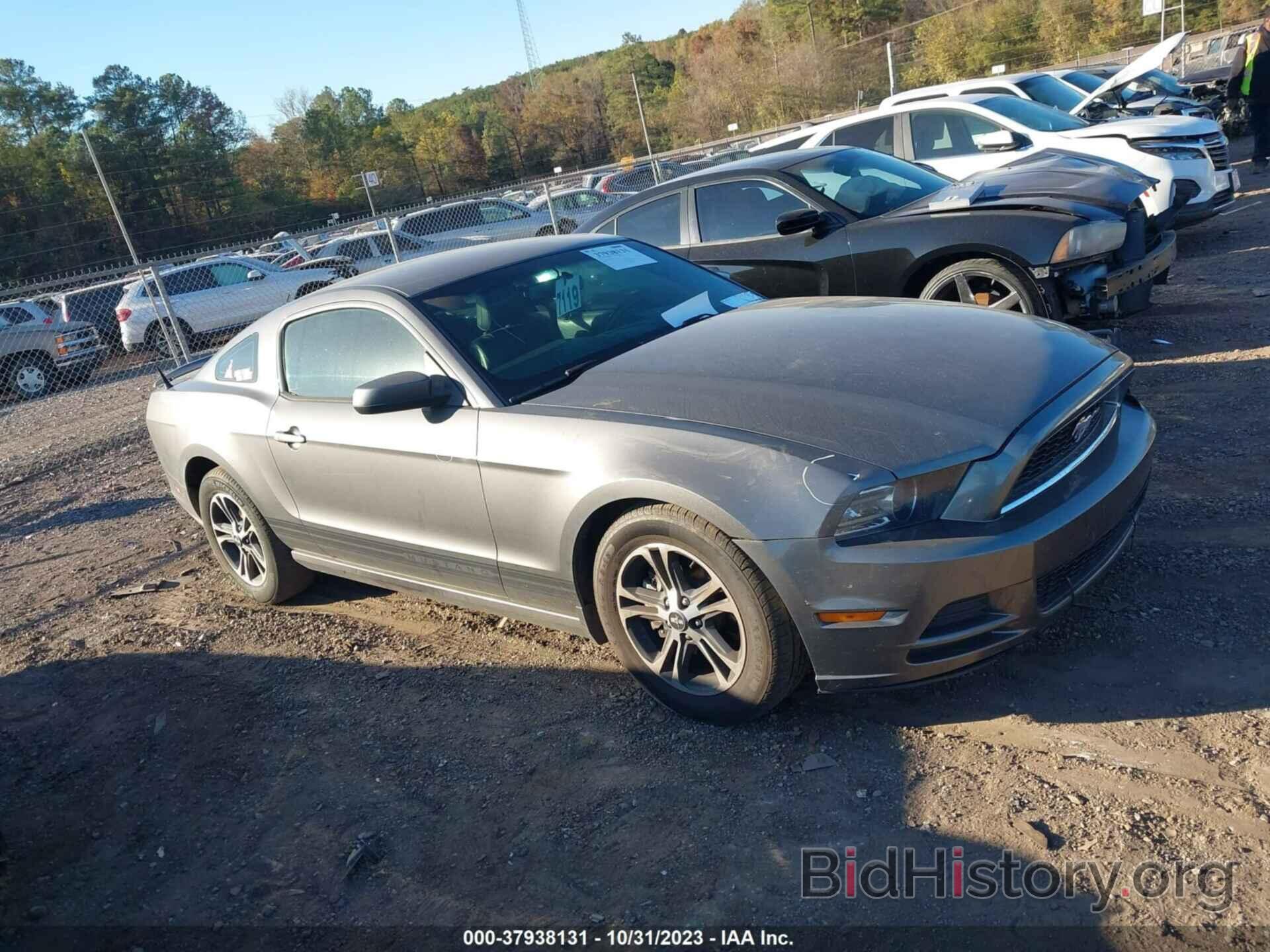 Photo 1ZVBP8AM7E5206024 - FORD MUSTANG 2014