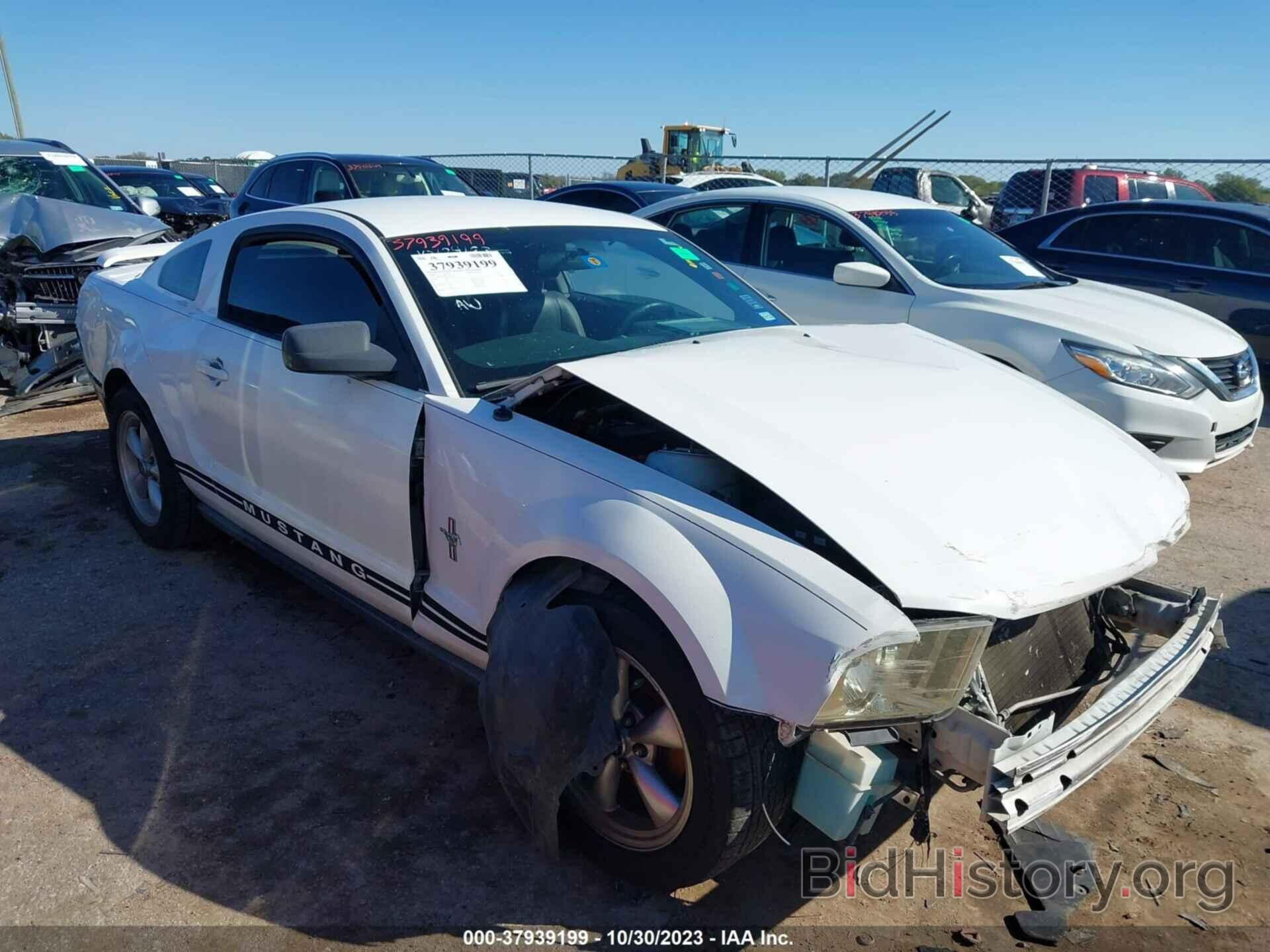 Photo 1ZVFT80N865157232 - FORD MUSTANG 2006